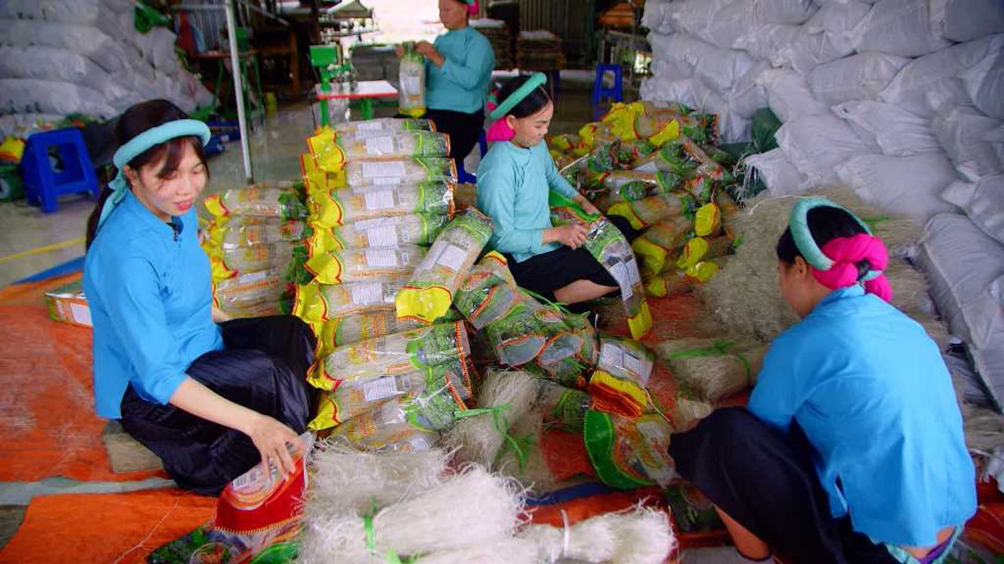 Sản phẩm miến dong Bình Liêu được người tiêu dùng ưa chuộng.