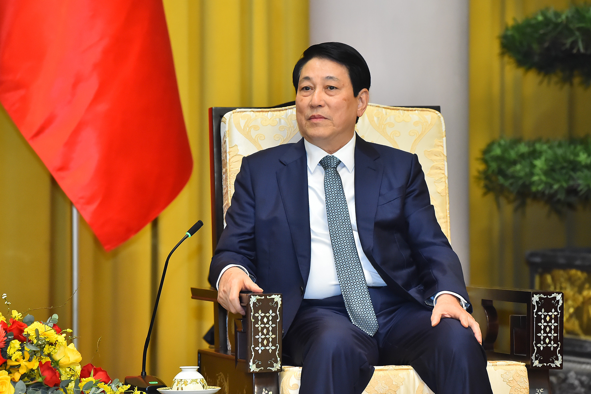 Chủ tịch nước Lương Cường phát biểu tại buổi tiếp.