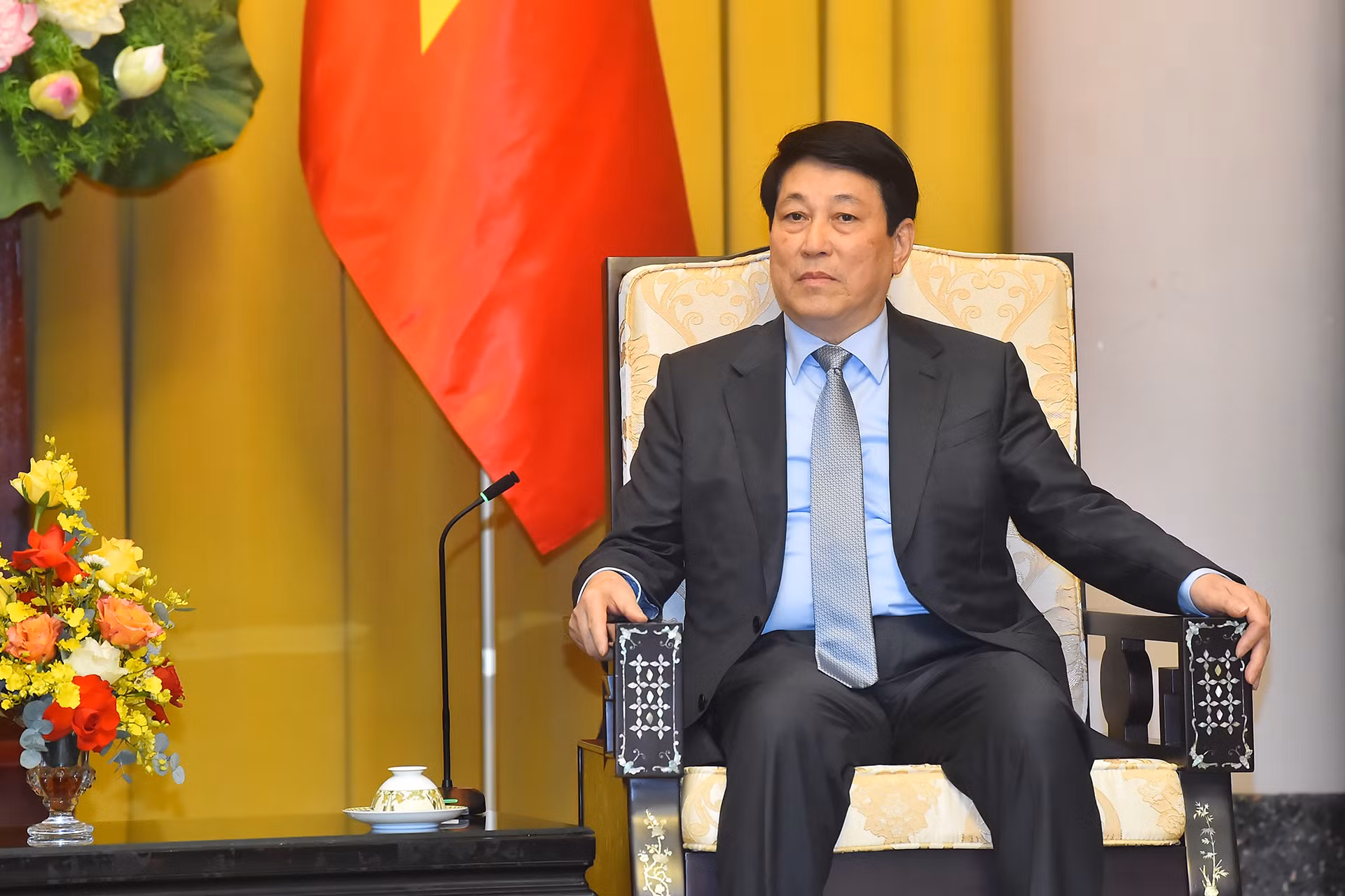 Chủ tịch nước Lương Cường phát biểu tại buổi tiếp.