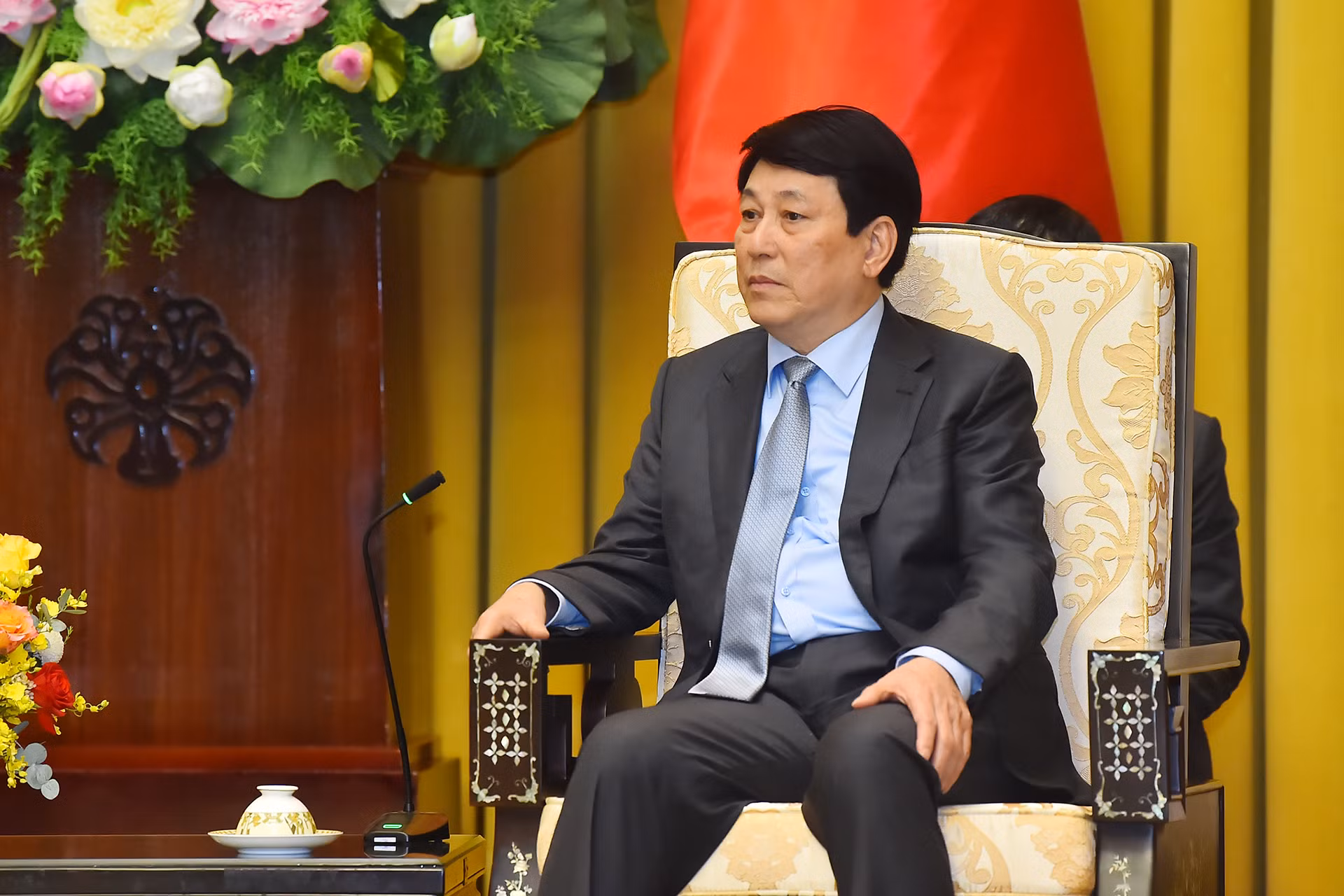 Chủ tịch nước Lương Cường phát biểu tại buổi tiếp.