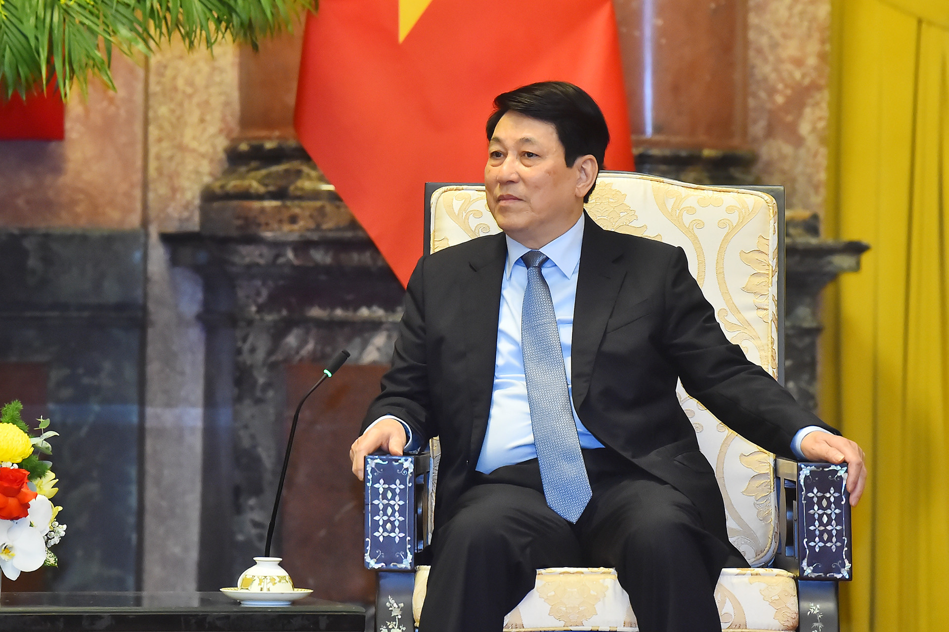 Chủ tịch nước Lương Cường phát biểu tại buổi tiếp.