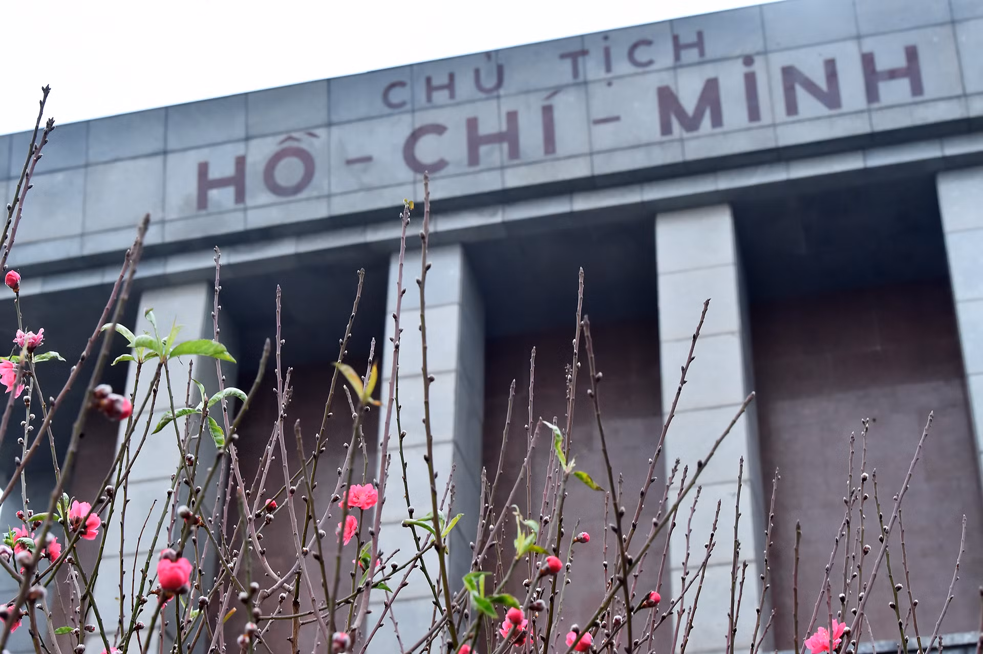 Sắc xuân đã về tại Lăng Chủ tịch Hồ Chí Minh.