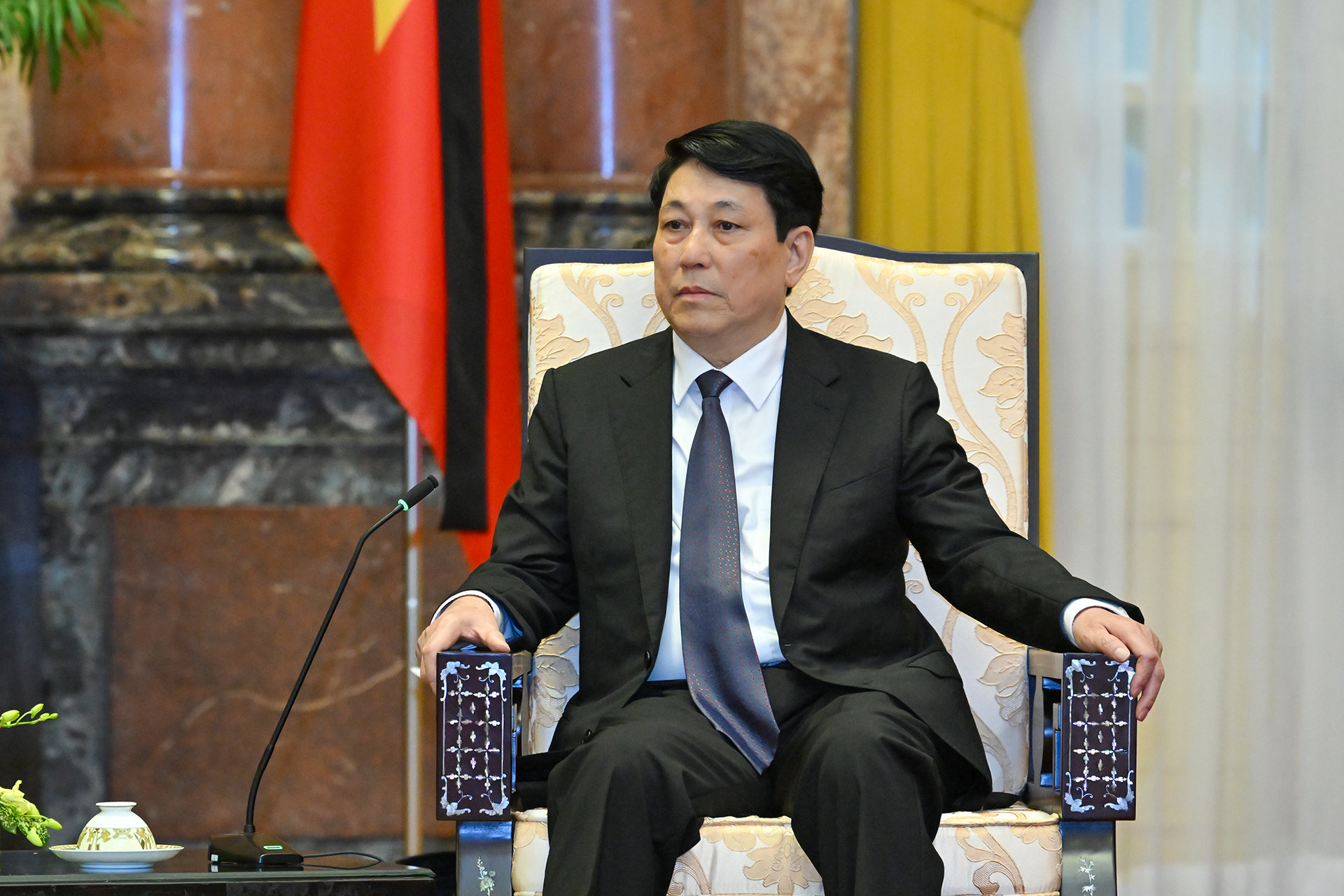 Chủ tịch nước Lương Cường tại buổi tiếp. Chủ tịch nước Lương Cường tại buổi tiếp.