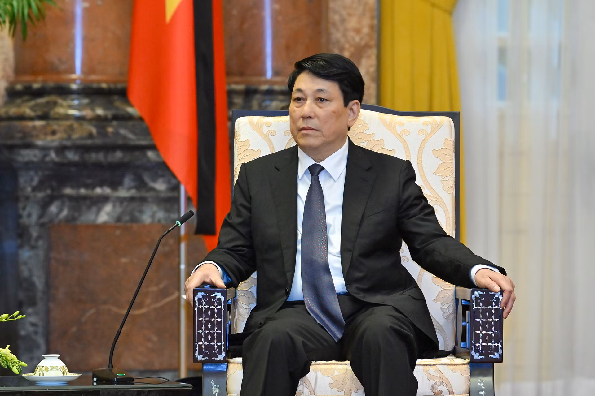 Chủ tịch nước Lương Cường tại buổi tiếp.