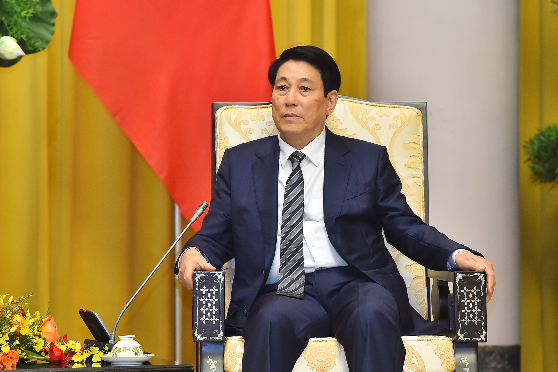 Chủ tịch nước Lương Cường phát biểu tại buổi tiếp.