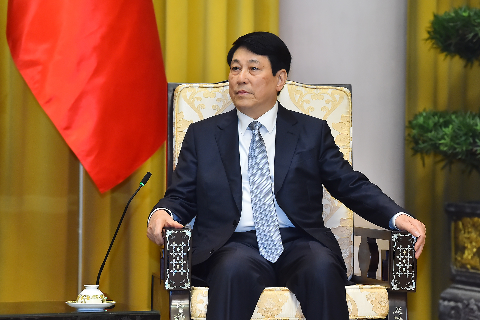 Chủ tịch nước Lương Cường phát biểu tại buổi tiếp.