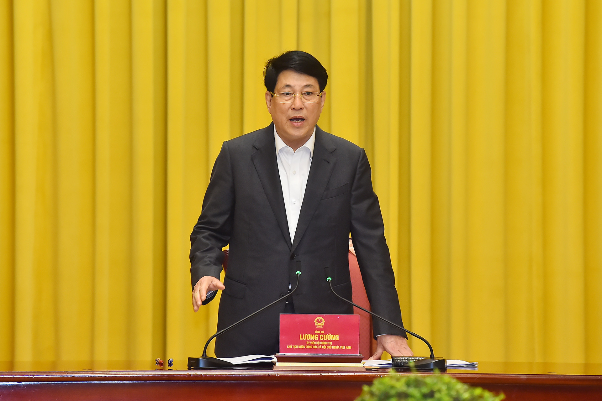 Chủ tịch nước Lương Cường phát biểu tại buổi làm việc.