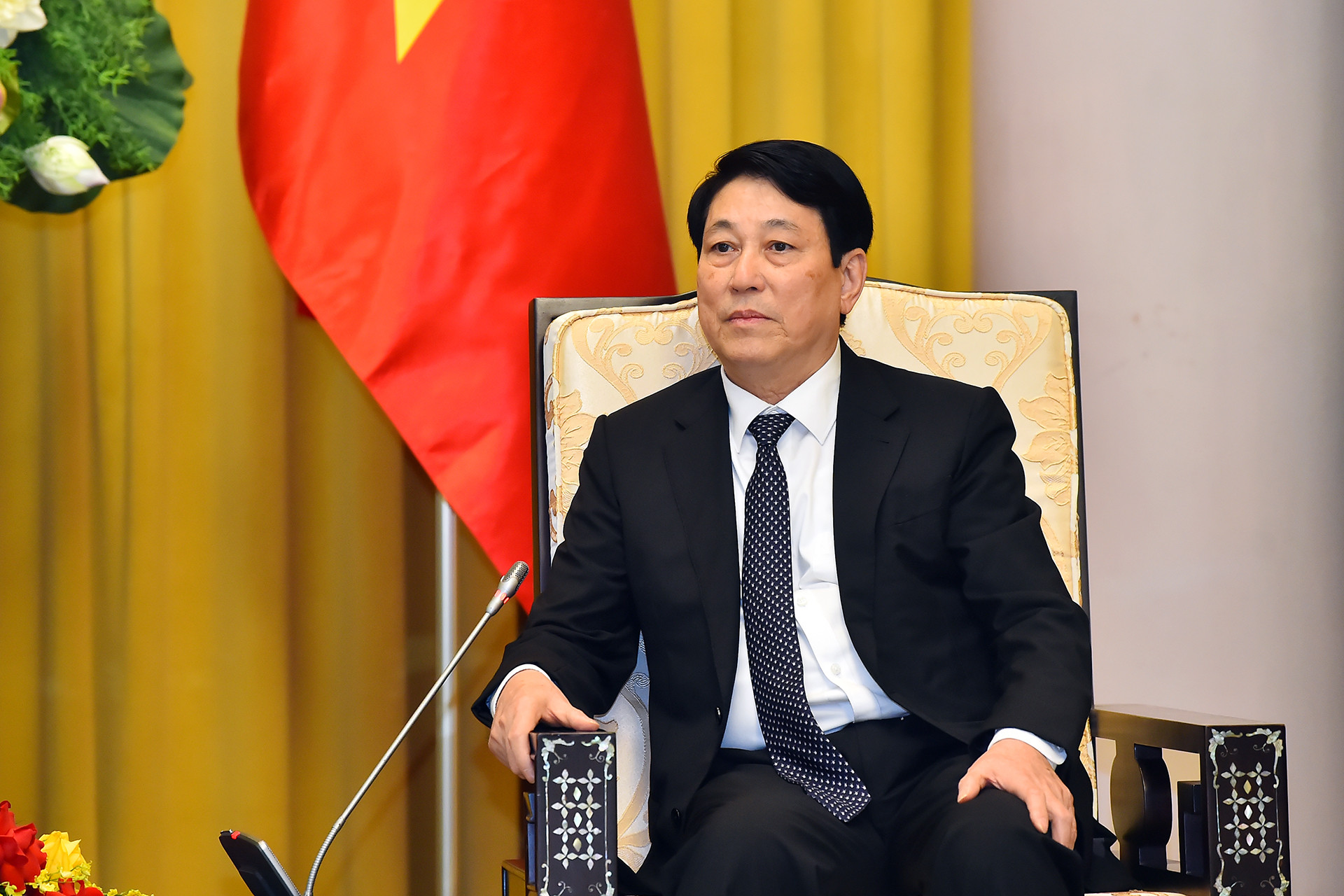 Chủ tịch nước Lương Cường phát biểu tại buổi tiếp.