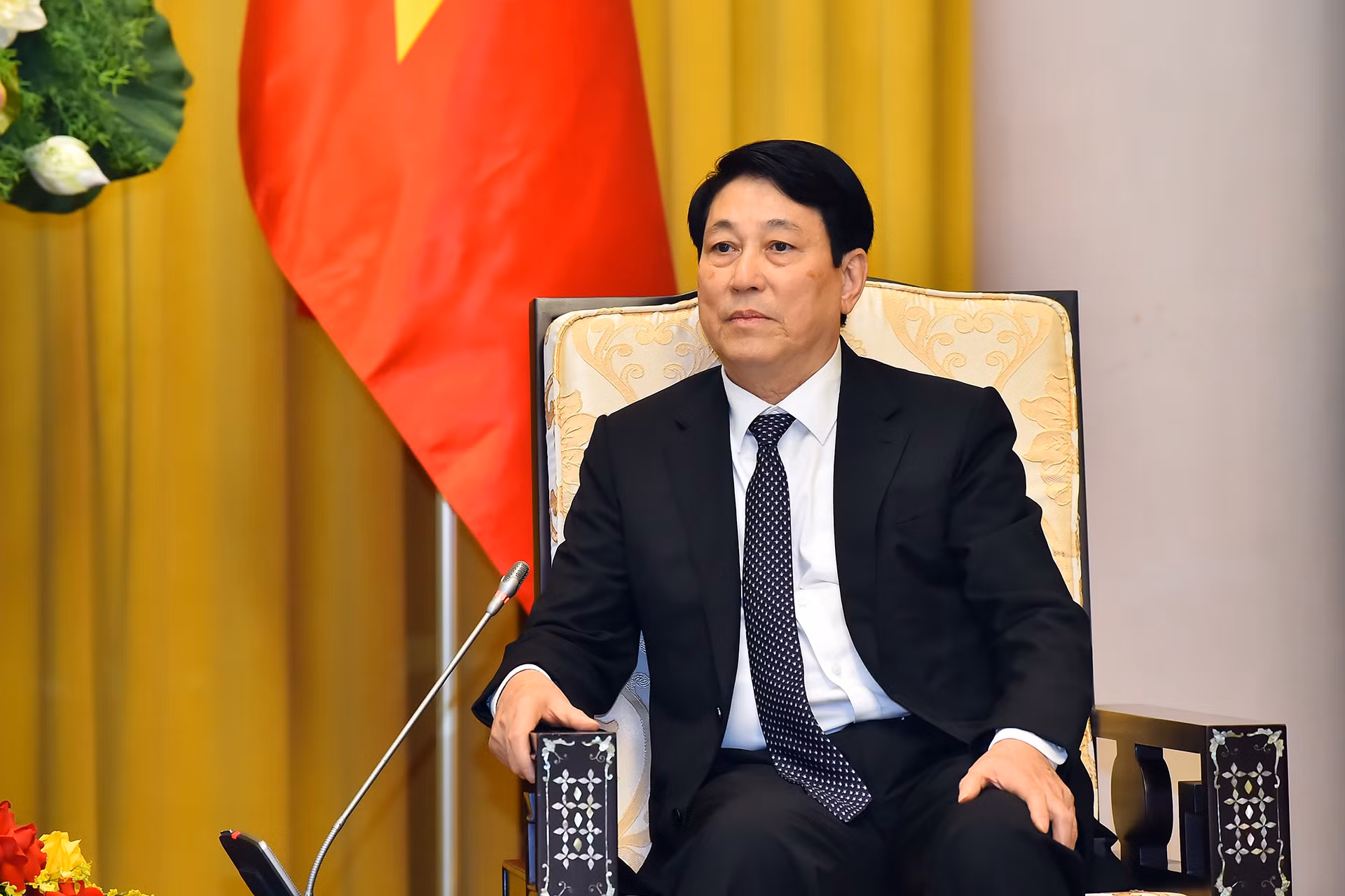 Chủ tịch nước Lương Cường phát biểu tại buổi tiếp.