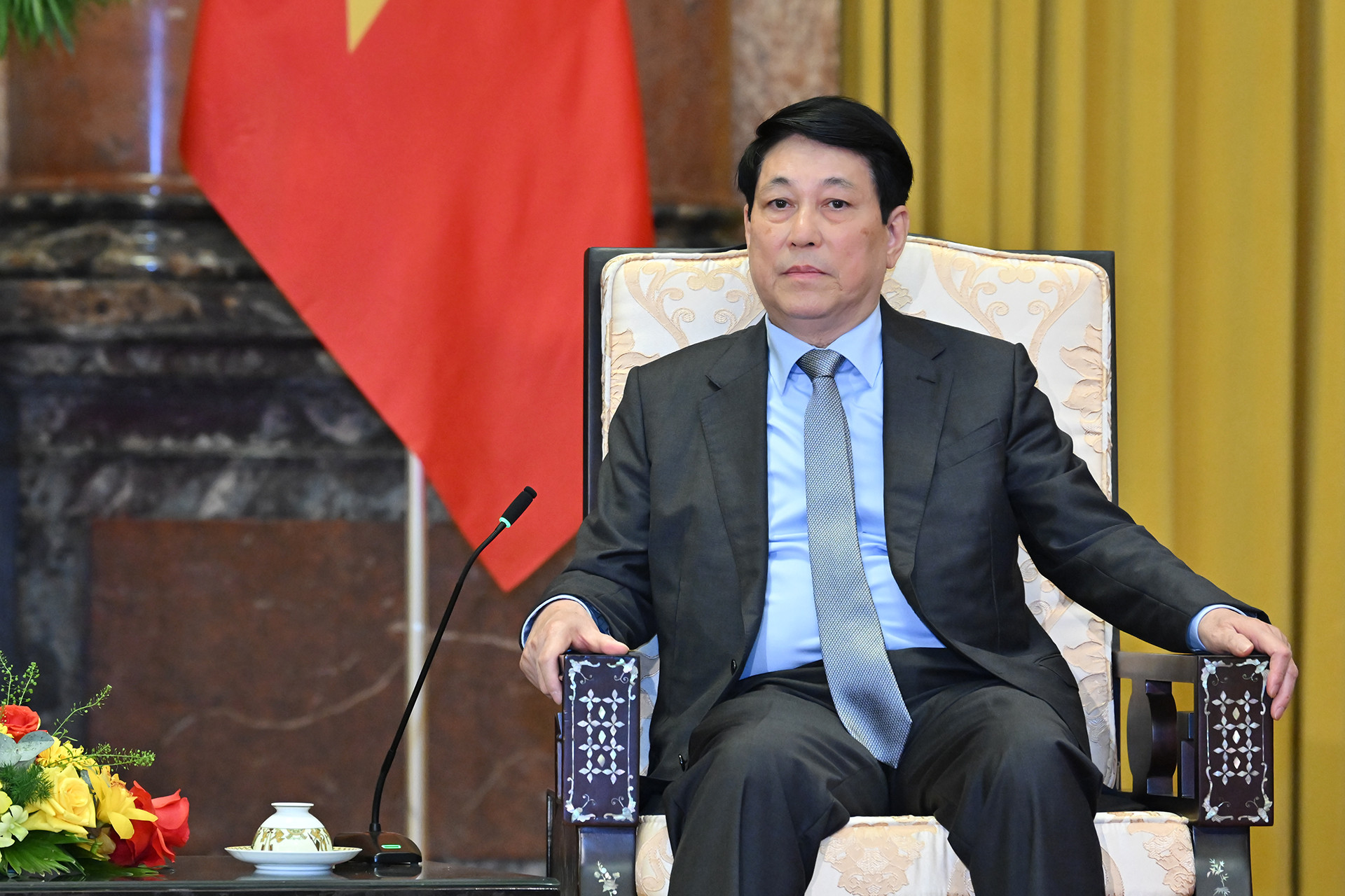 Chủ tịch nước Lương Cường phát biểu tại buổi tiếp.