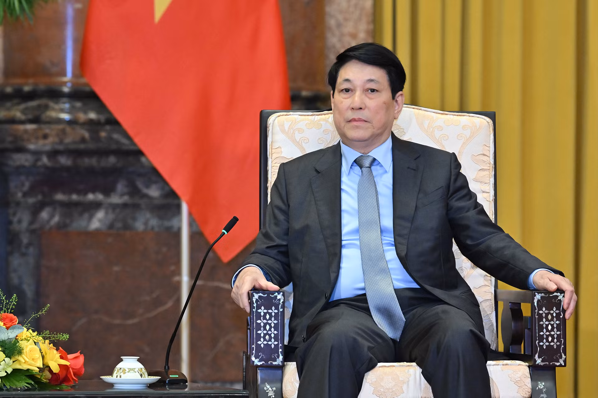 Chủ tịch nước Lương Cường phát biểu tại buổi tiếp.