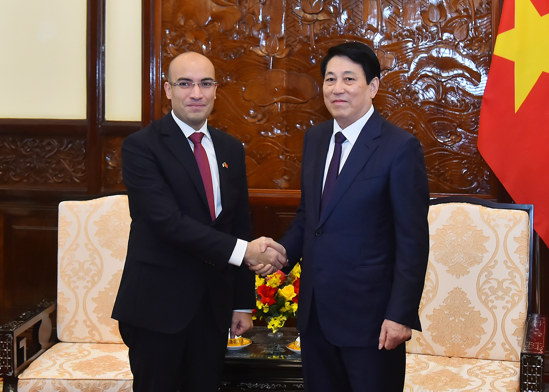 Chủ tịch nước Lương Cường và Đại sứ Cộng hòa Algeria Dân chủ và Nhân dân Sofiane Chaib tại buổi tiếp.