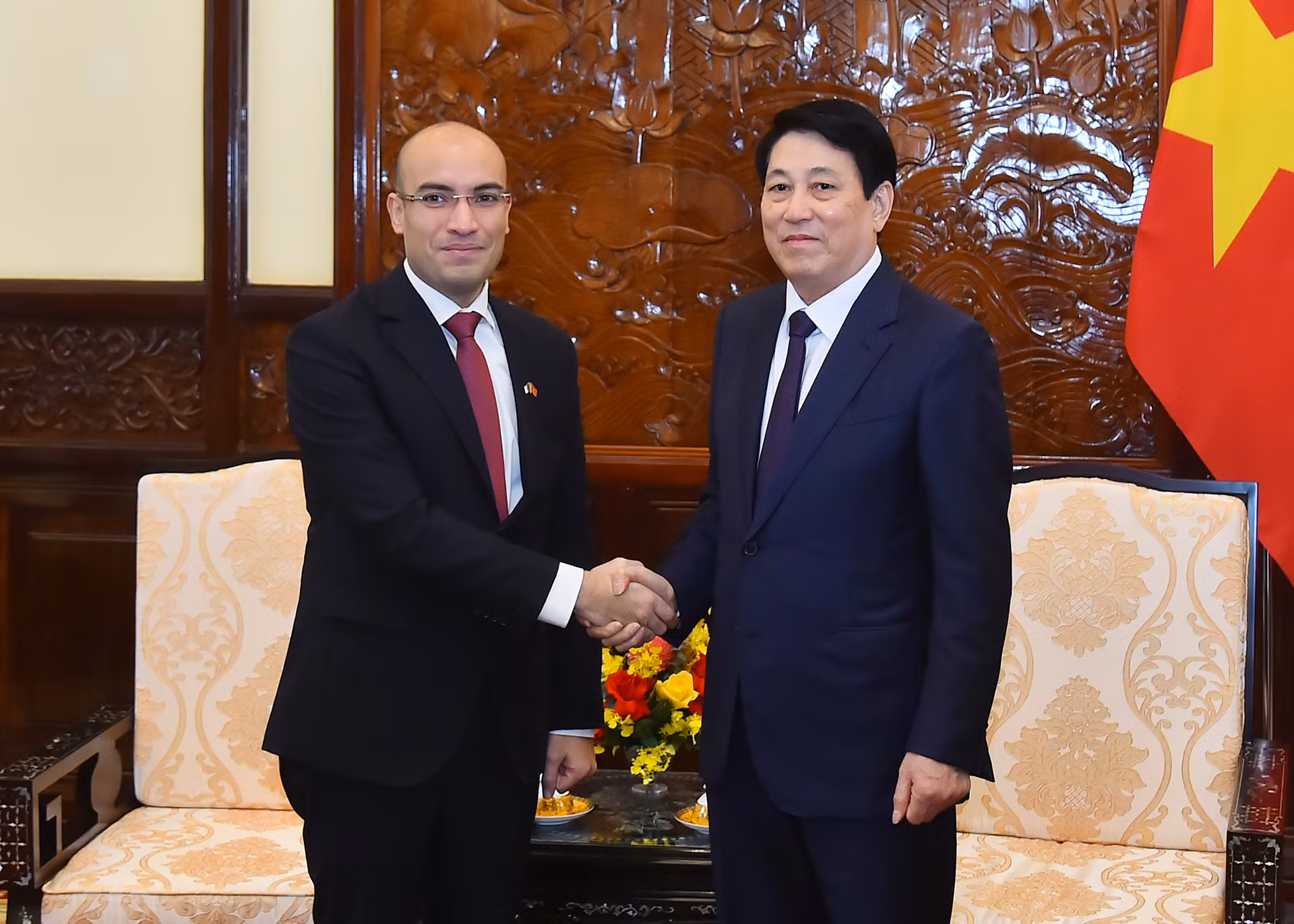 Chủ tịch nước Lương Cường và Đại sứ Cộng hòa Algeria Dân chủ và Nhân dân Sofiane Chaib tại buổi tiếp.