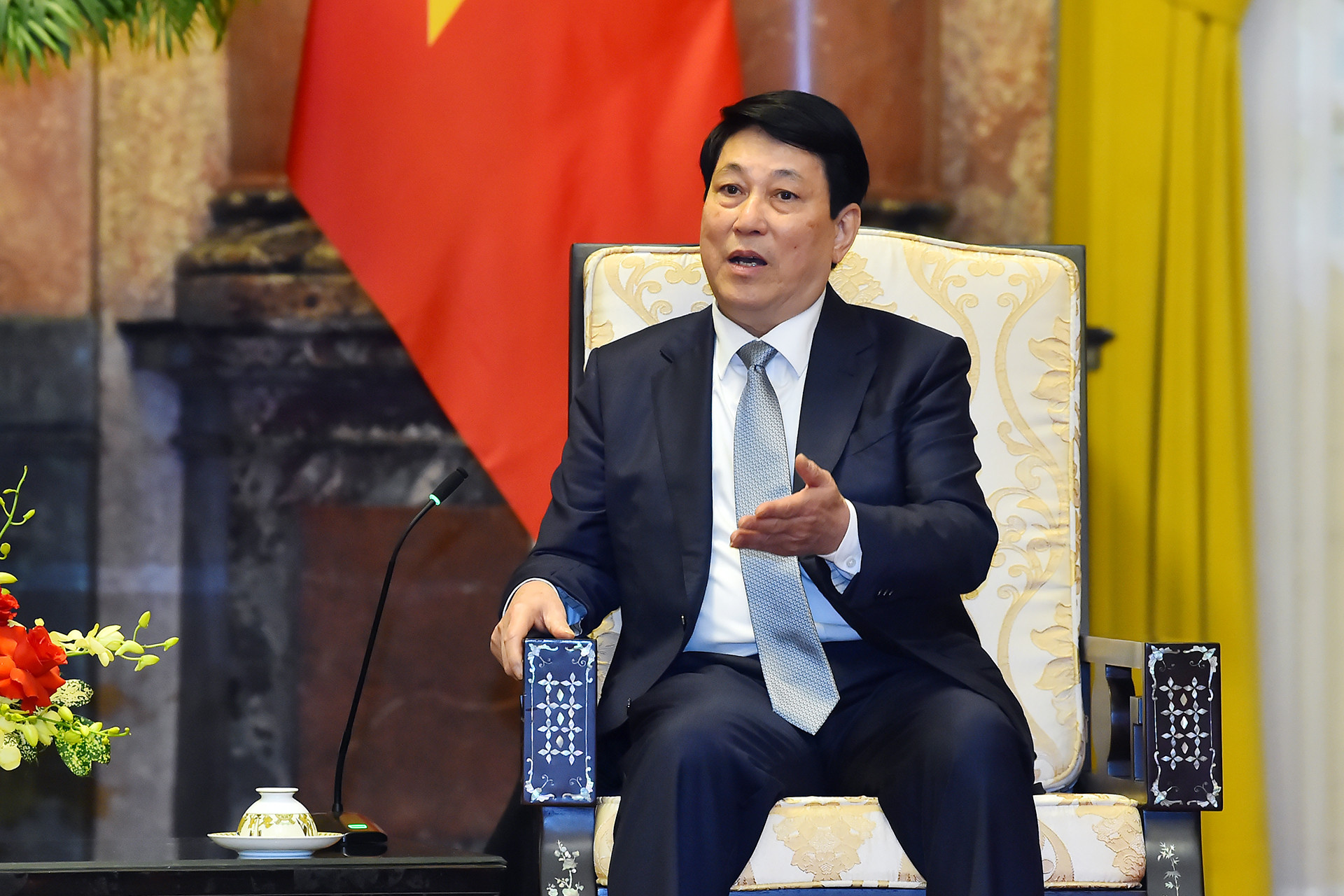 Chủ tịch nước Lương Cường phát biểu tại buổi tiếp.