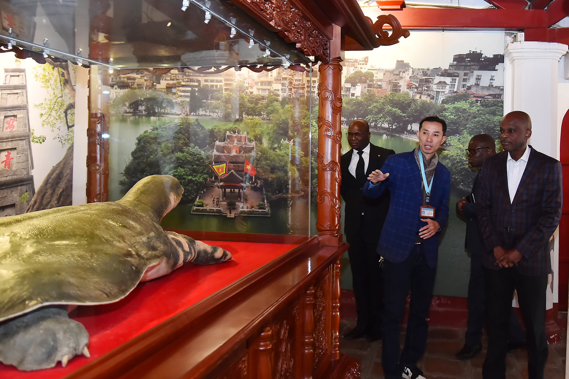 Bộ trưởng Ngoại giao Togo Robert Dussey nghe giới thiệu về tiêu bản bản rùa Hồ Gươm tại nhà trưng bày đền Ngọc Sơn.