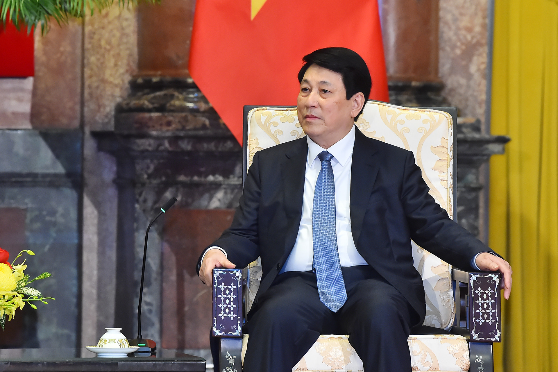 Chủ tịch nước Lương Cường phát biểu tại buổi tiếp.