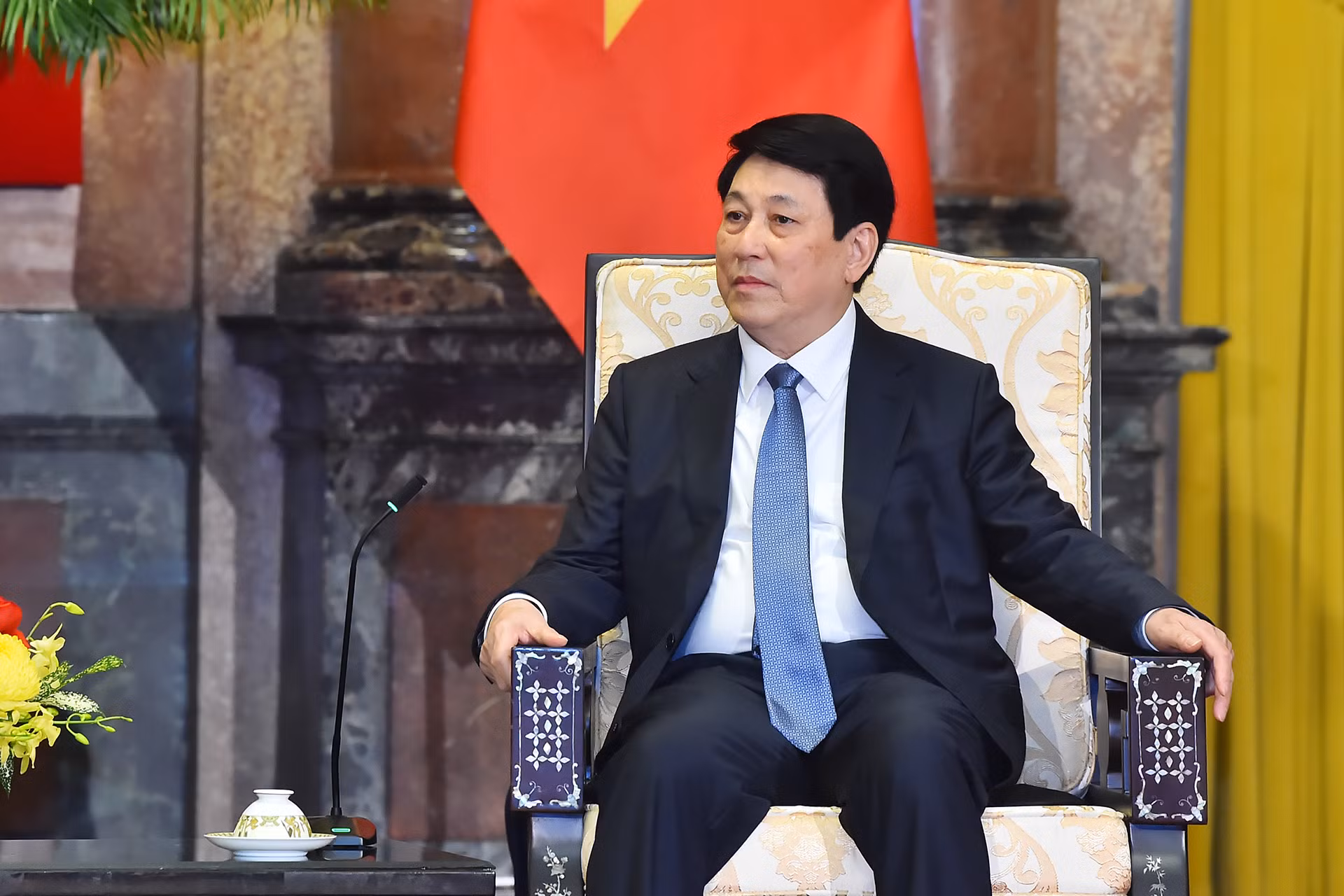 Chủ tịch nước Lương Cường phát biểu tại buổi tiếp.