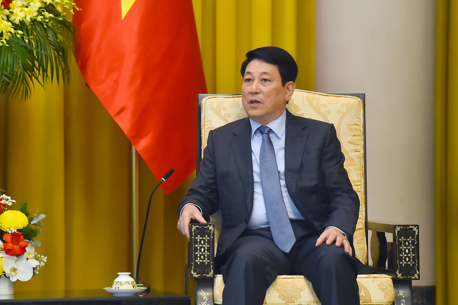 Chủ tịch nước Lương Cường phát biểu ý kiến tại buổi tiếp.