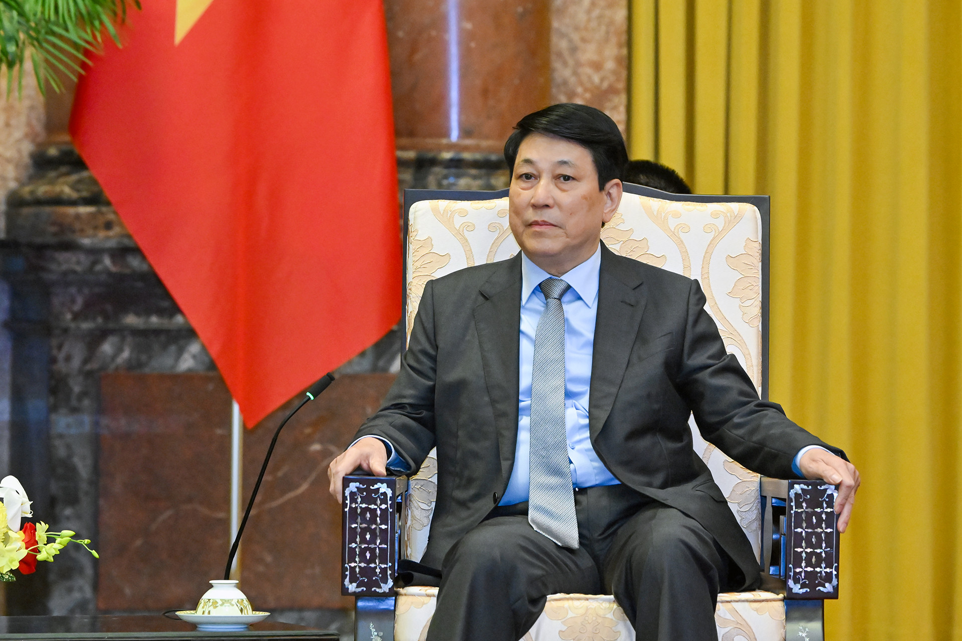 Chủ tịch nước Lương Cường phát biểu tại buổi tiếp.