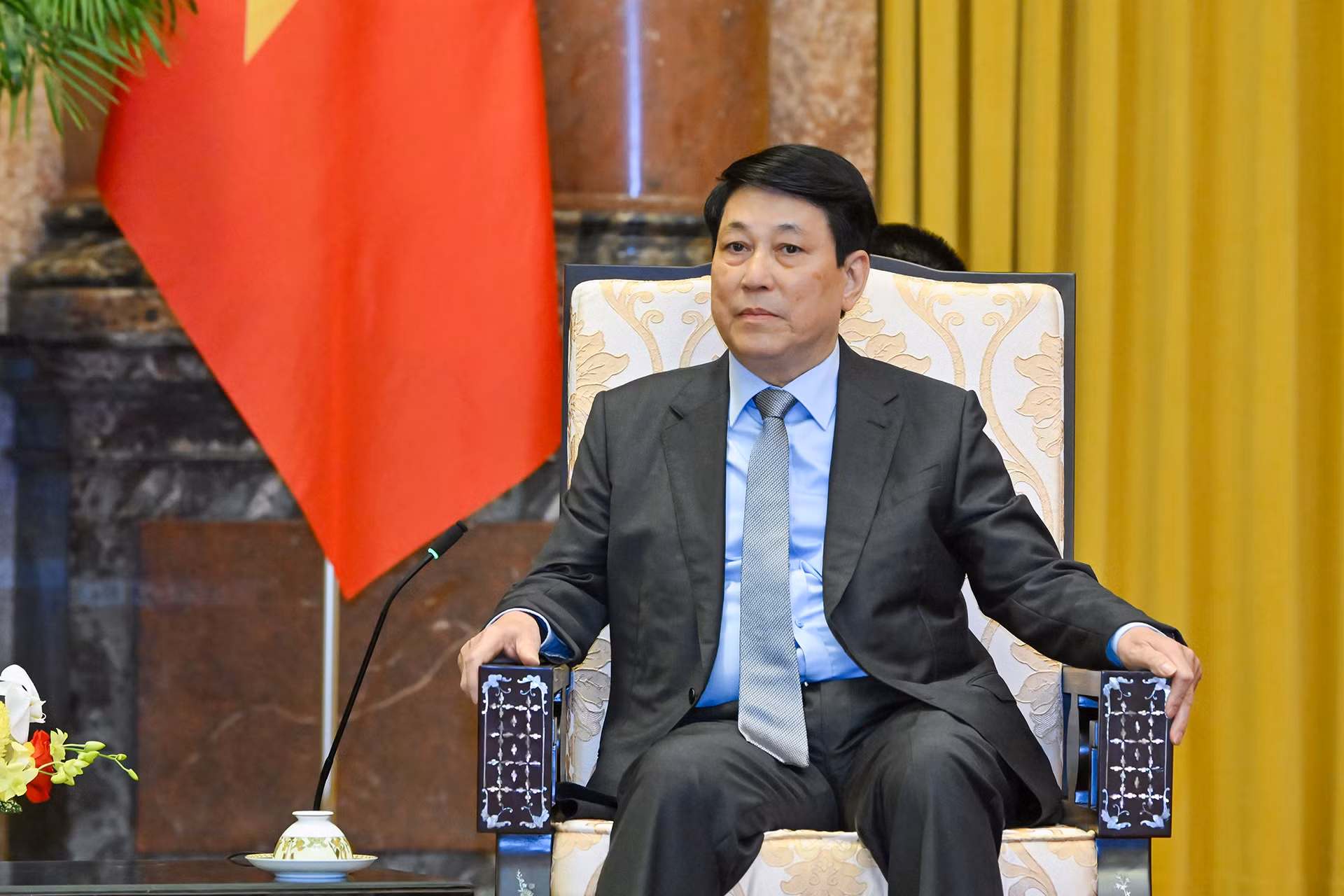 Chủ tịch nước Lương Cường phát biểu tại buổi tiếp.