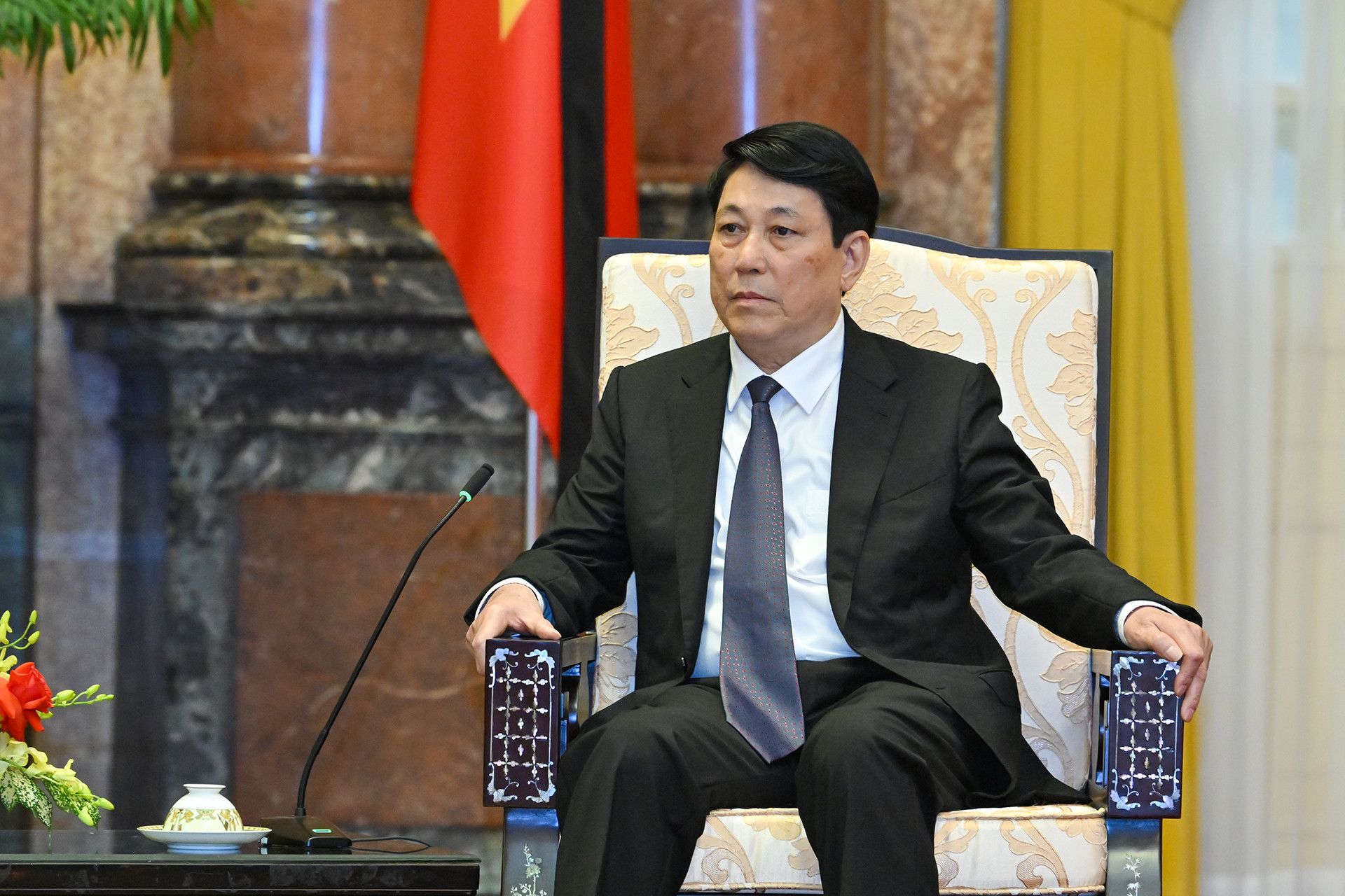 Chủ tịch nước Lương Cường phát biểu tại buổi tiếp.