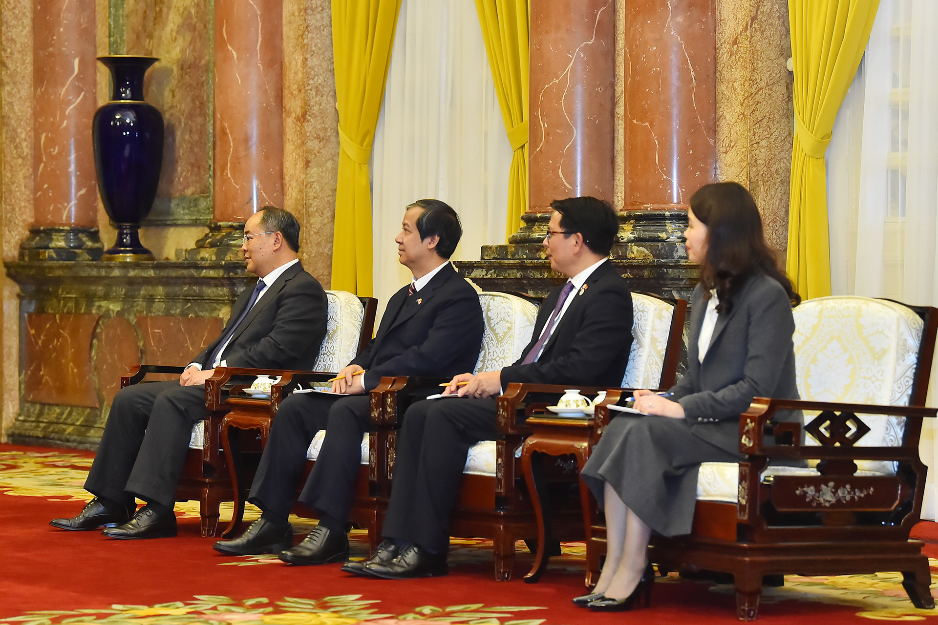 Các thành viên Việt Nam tại buổi tiếp.