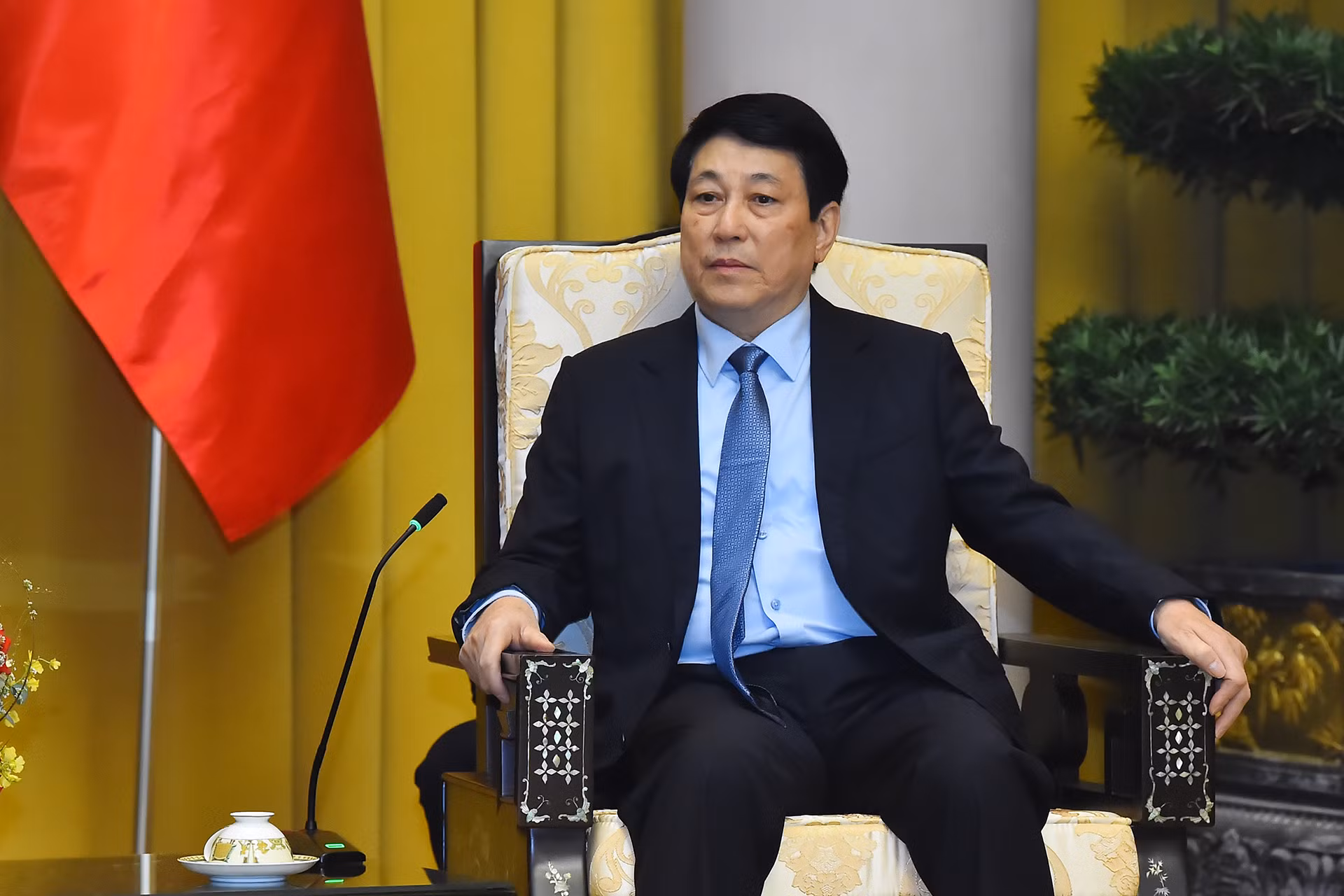 Chủ tịch nước Lương Cường phát biểu tại buổi tiếp.