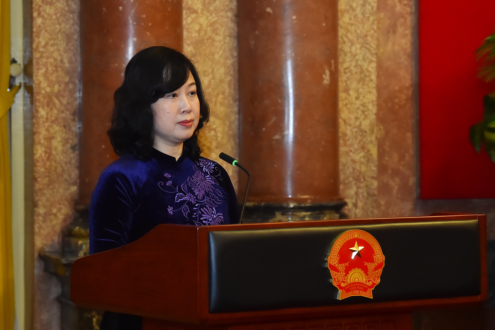 Bộ trưởng Y tế Đào Hồng Lan phát biểu tại buổi gặp mặt.