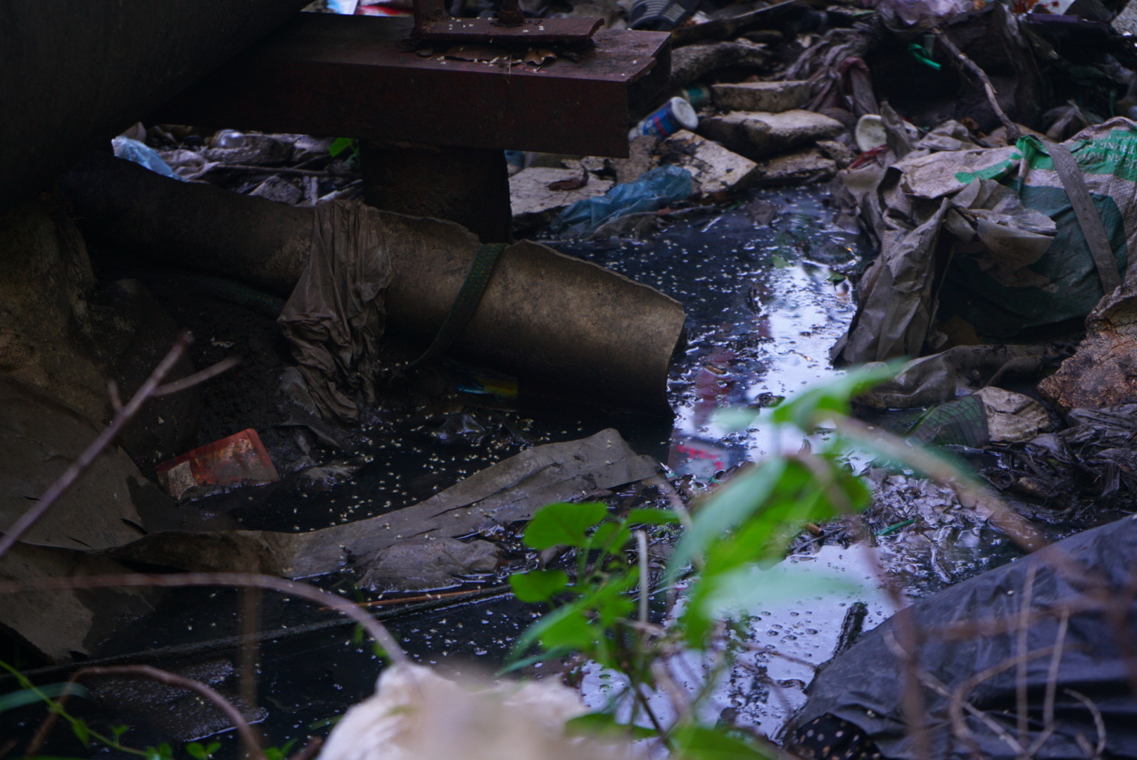 Nhiều cống xả nước thải sinh hoạt của người dân đổ thẳng ra ngòi Tùng Khê khiến cho dòng nước chuyển màu đen xì, bốc mùi hôi thối.