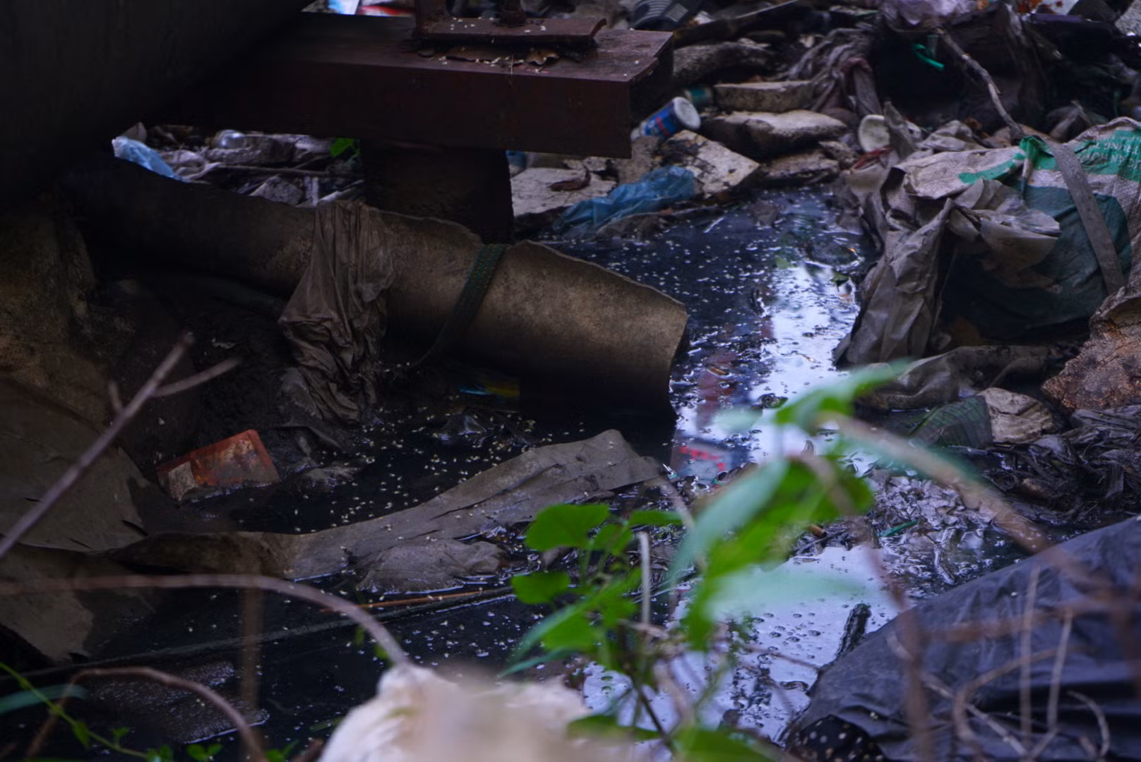 Nhiều cống xả nước thải sinh hoạt của người dân đổ thẳng ra ngòi Tùng Khê khiến cho dòng nước chuyển màu đen xì, bốc mùi hôi thối.