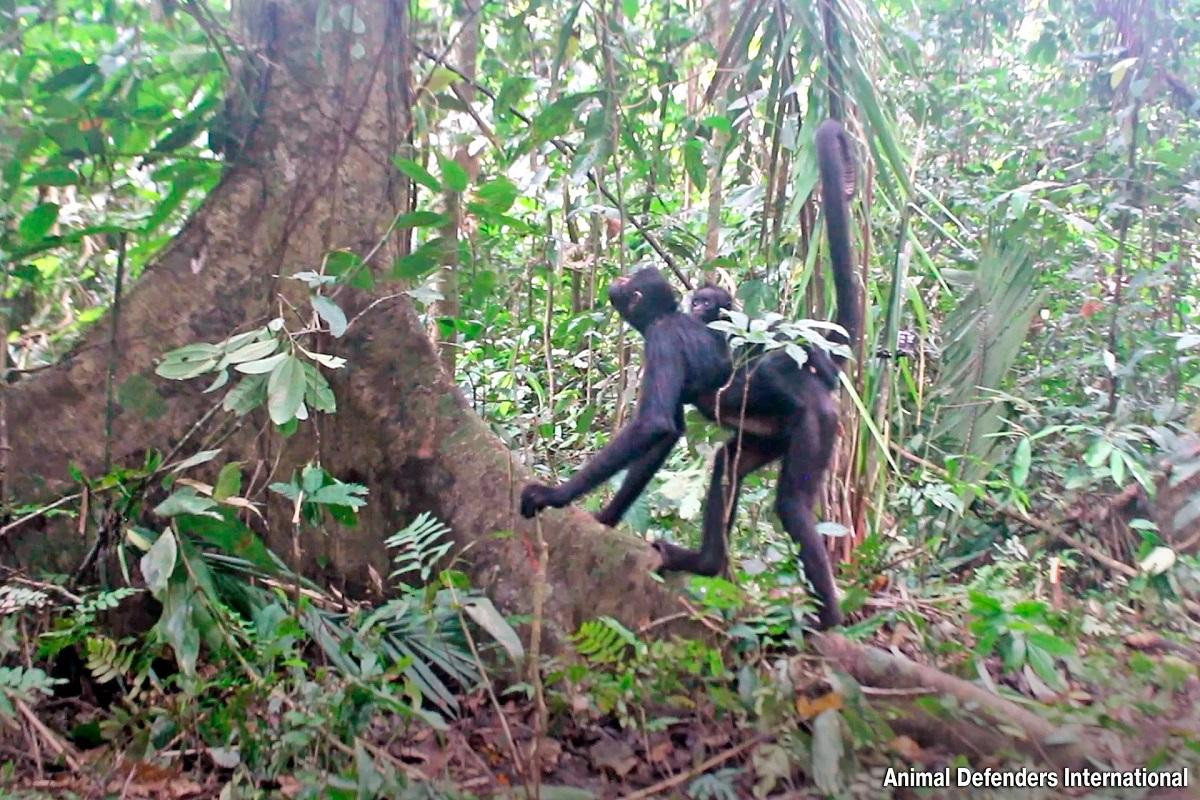 Ảnh đẹp động vật hoang dã trong tuần ảnh 7
