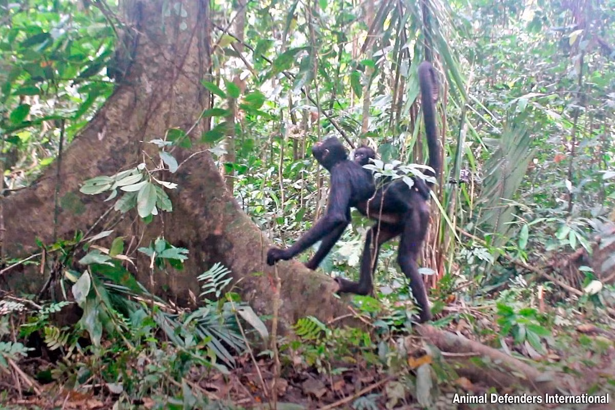 Ảnh đẹp động vật hoang dã trong tuần ảnh 7 Ảnh đẹp động vật hoang dã trong tuần ảnh 7