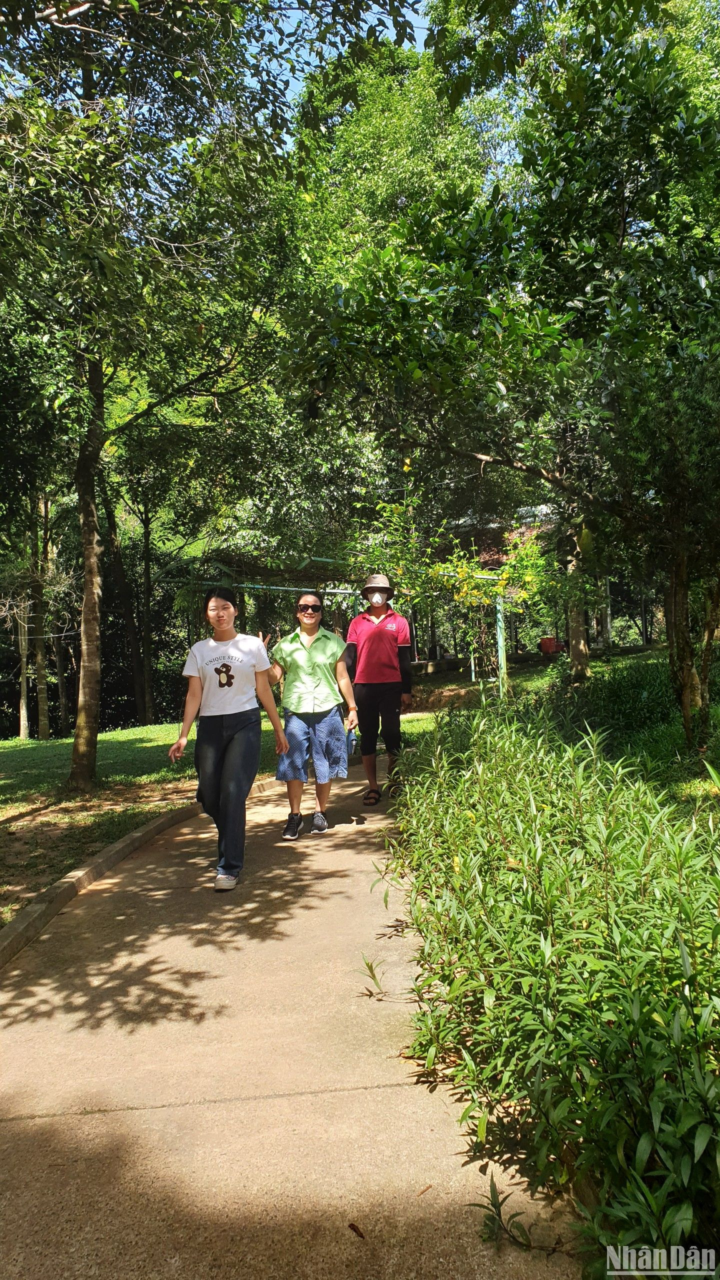 Điểm dừng nghỉ được thiết kế hài hòa với không gian sinh thái.