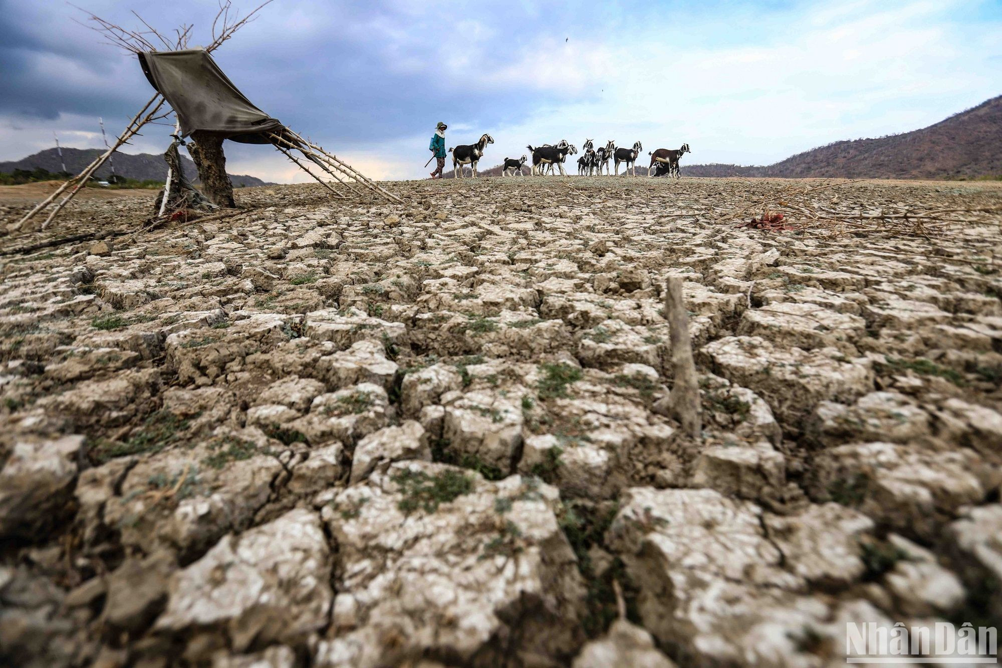 Ninh Thuận và Bình Thuận là hai trong số các địa phương bị ảnh hưởng nặng nề bởi tình trạng hạn hán khắc nghiệt trong đợt El Nino 2019-2020. (Ảnh: THÀNH ĐẠT)