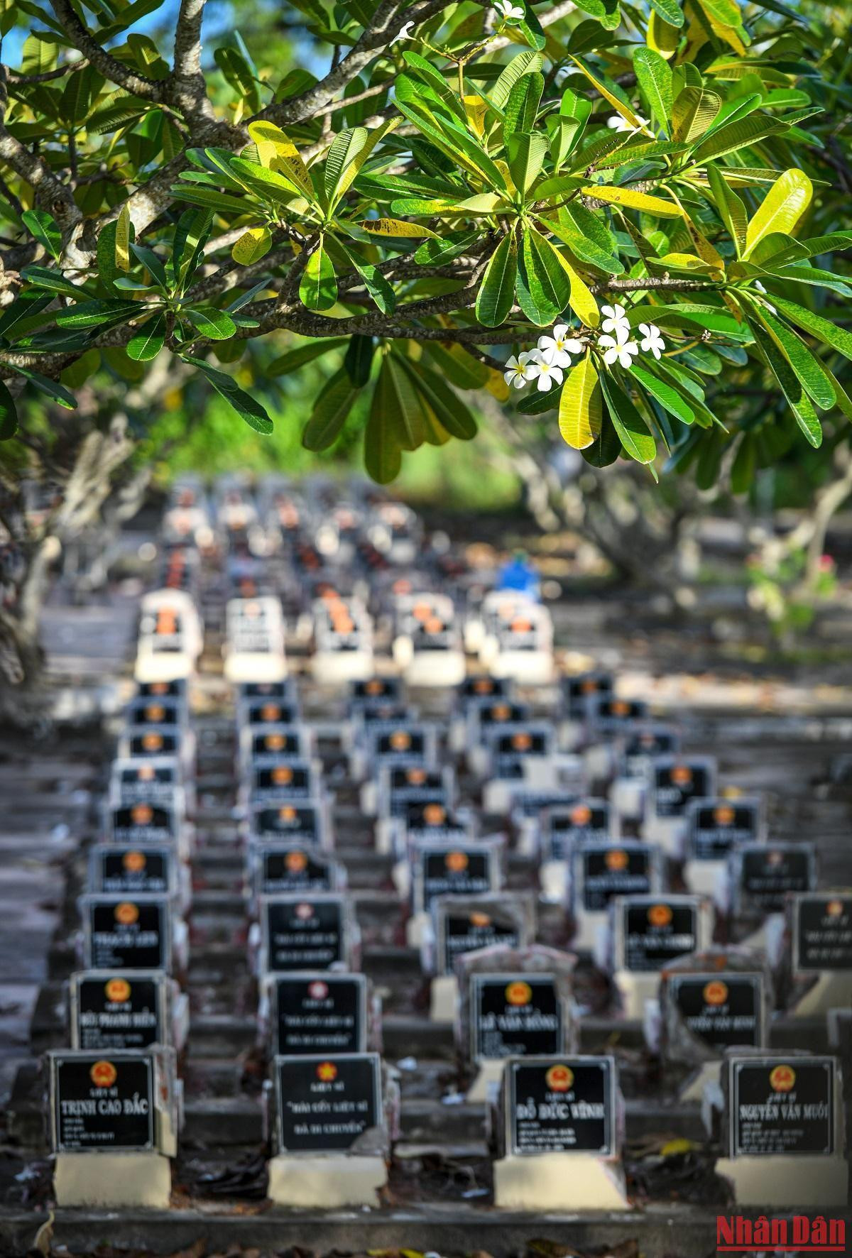 Những ngày cuối tháng 7 lịch sử, “nghĩa trang Trường Sơn” phía Tây Nam của Tổ quốc vẫn ngào ngạt hương trầm và lồng lộng gió. Những ngày cuối tháng 7 lịch sử, “nghĩa trang Trường Sơn” phía Tây Nam của Tổ quốc vẫn ngào ngạt hương trầm và lồng lộng gió.