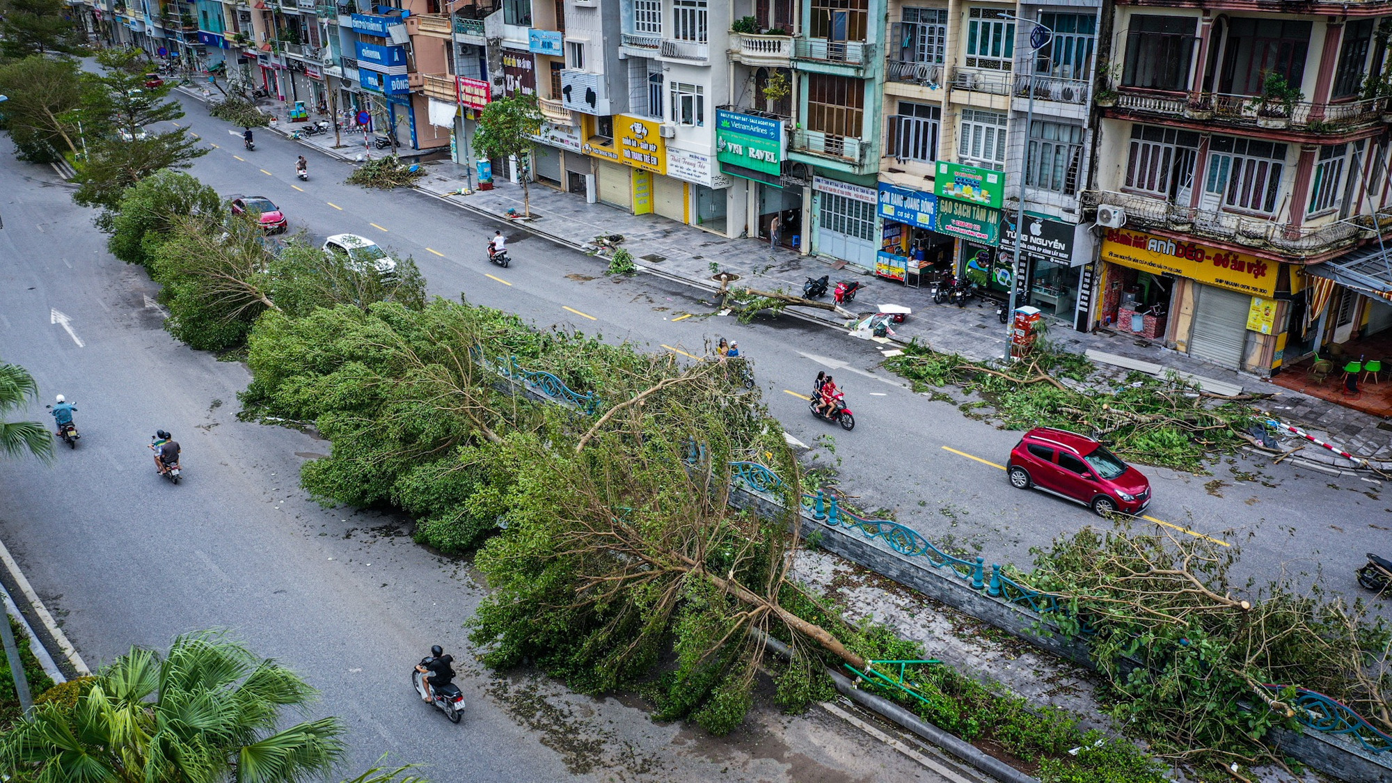 Dọc đường Nguyễn Văn Cừ hàng dài cây đổ nằm la liệt.