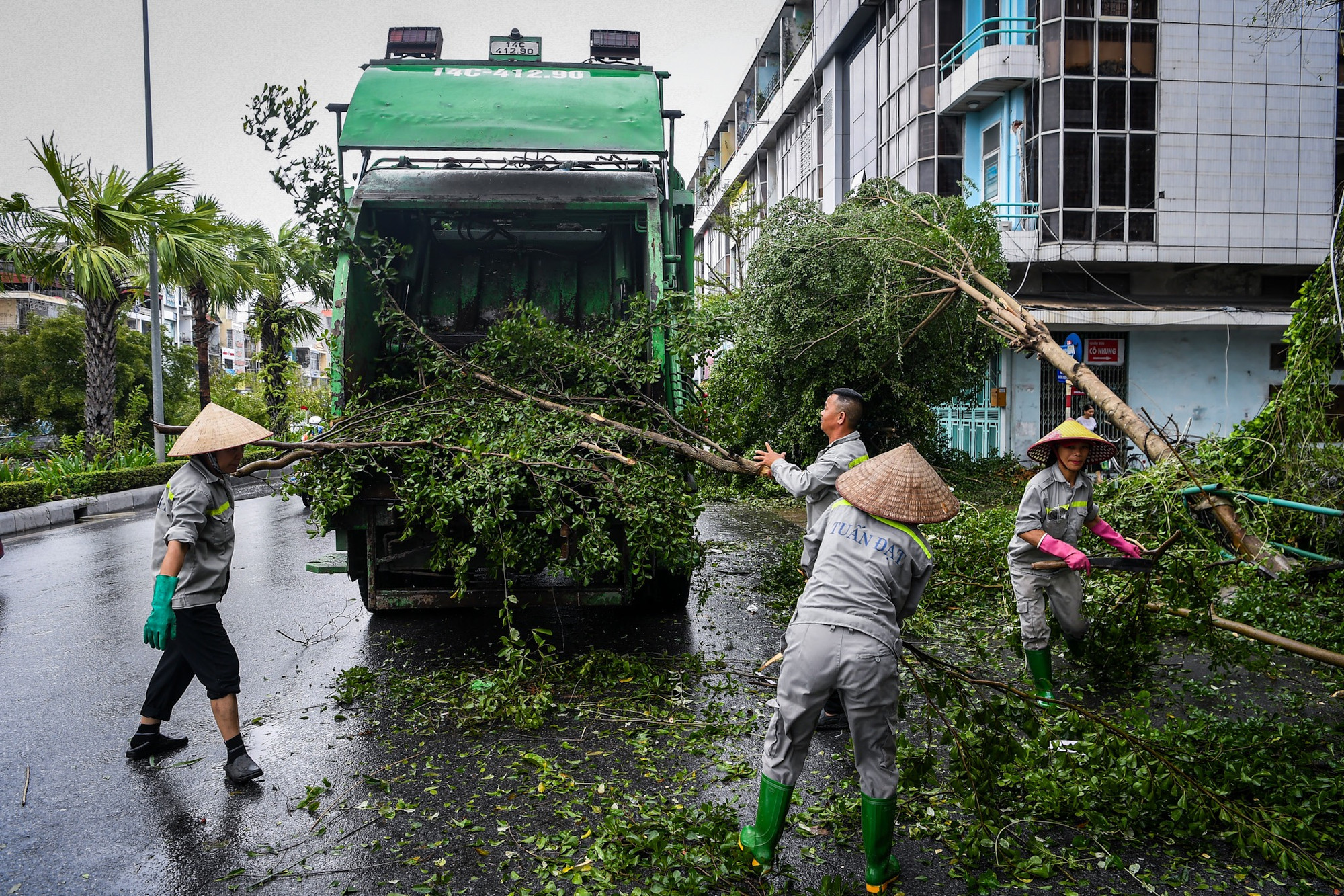 Công nhân môi trường khẩn trương dọn dẹp các cành cây gãy bị cắt bỏ, trả lại sự thông thoáng cho đường phố.
