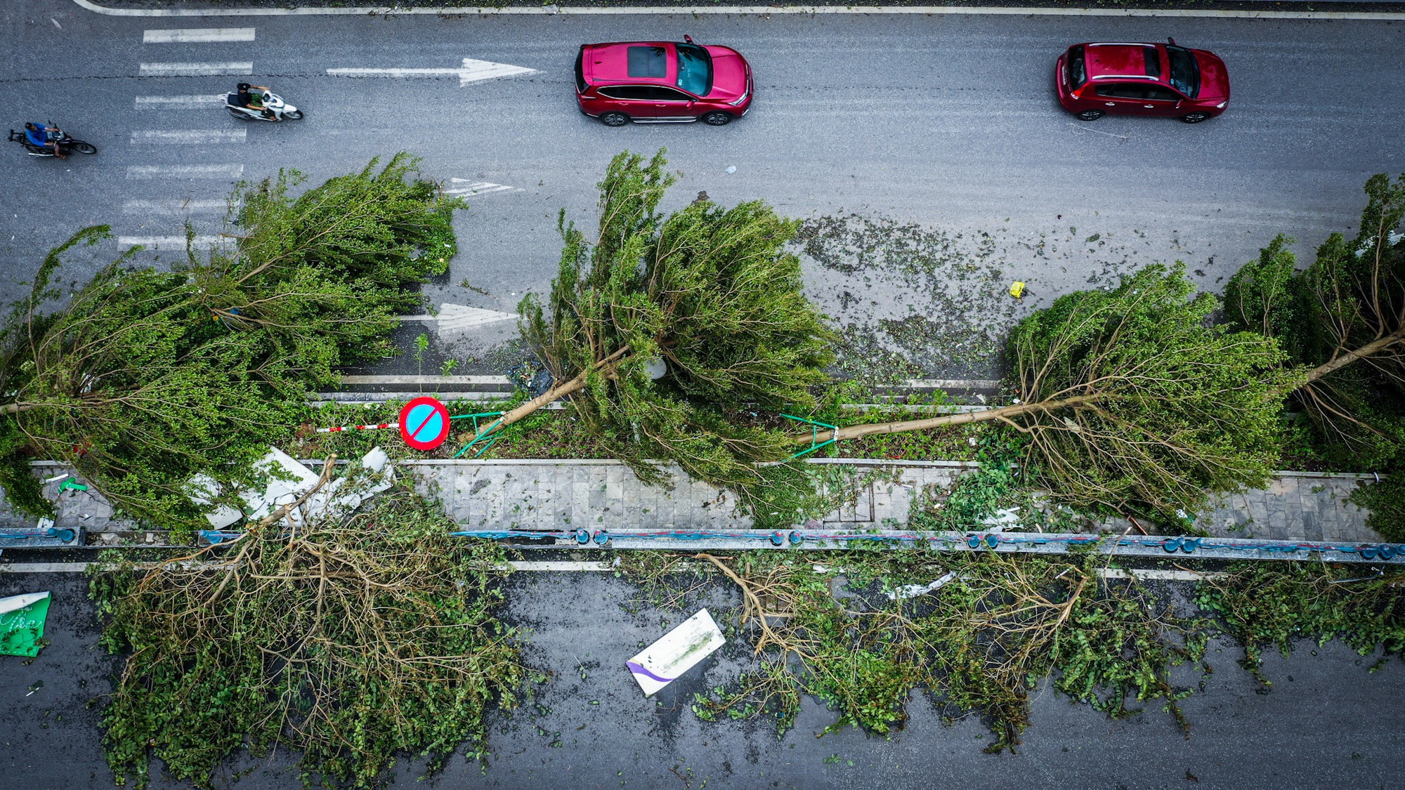 Hàng loạt cây xanh trên đường phố Hạ Long bị quật ngã sau khi bão số 3 quét qua.