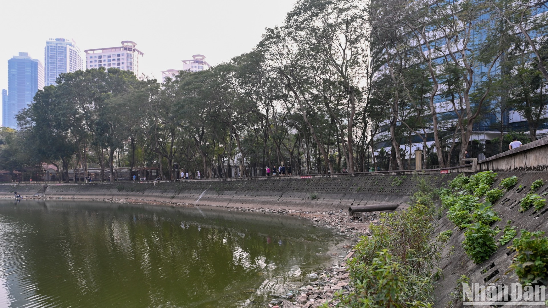 Đơn vị thi công tiến hành rút cạn nước ở lòng hồ điều hòa trong công viên.