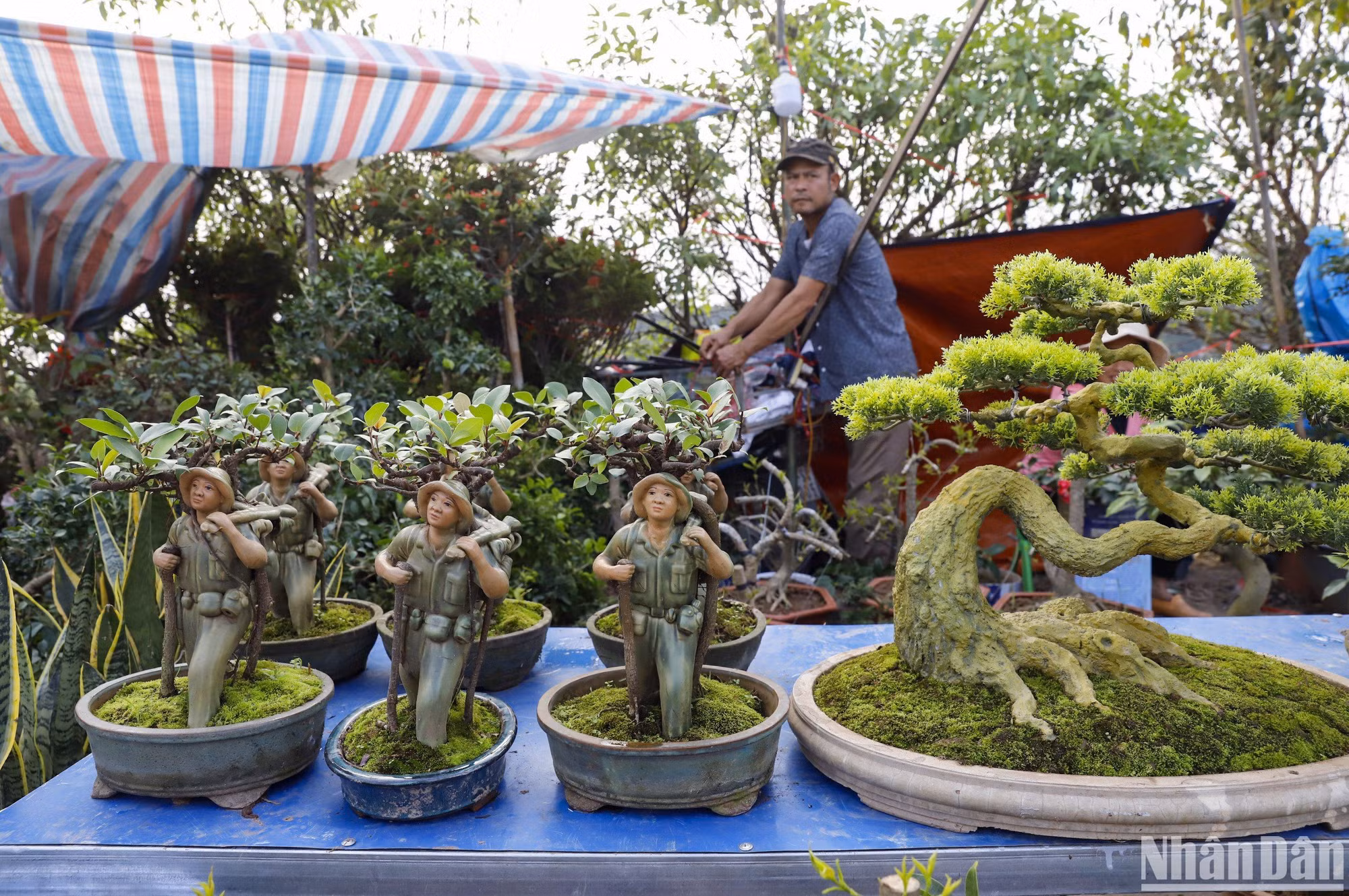 Mặt hàng tại chợ Viềng chủ yếu là cây cảnh, đơm đó, nông cụ... được bày bán khắp dọc đường đi vào phủ Dầy.