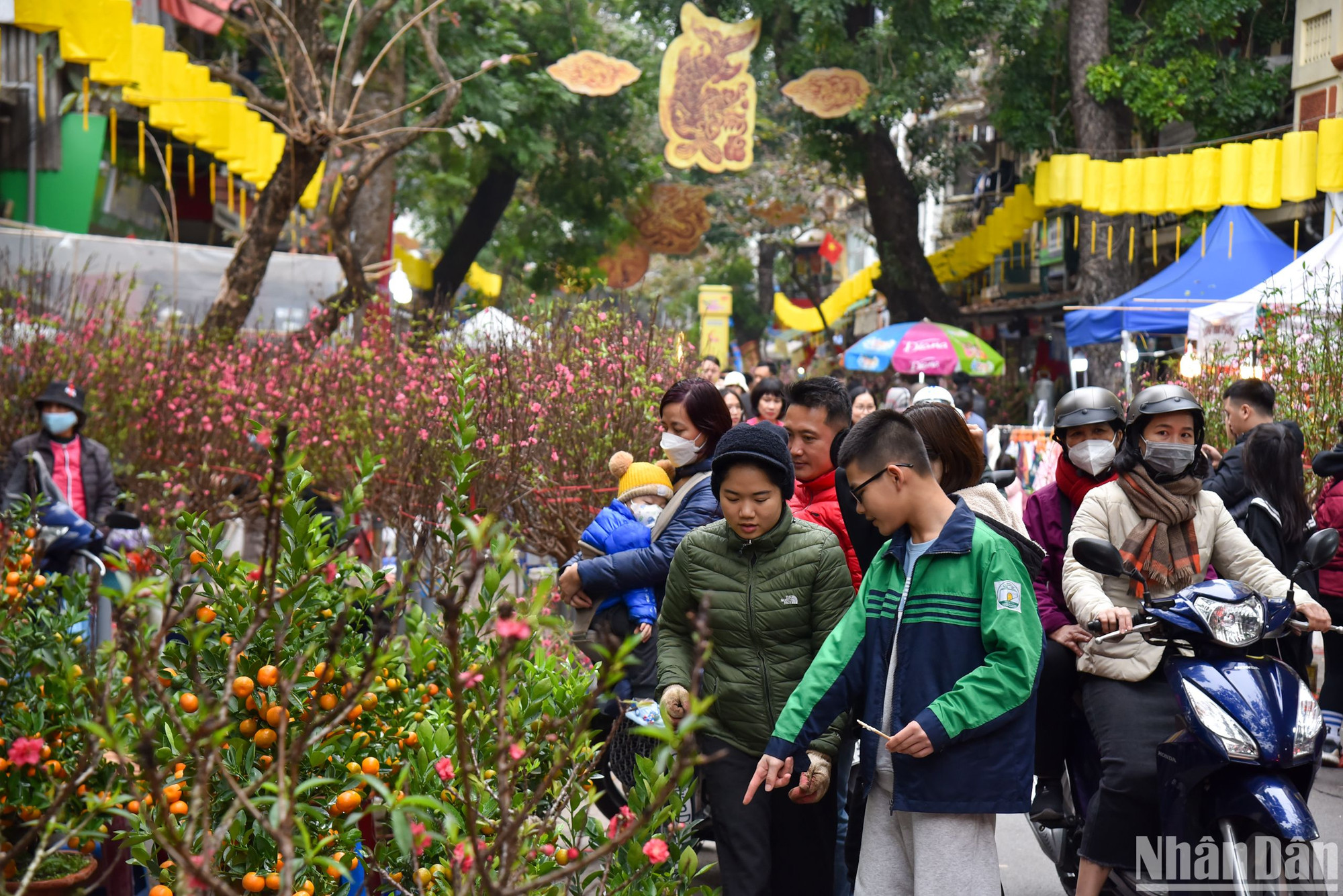 Đến với chợ hoa, ai cũng muốn chọn cho mình cành đào, chậu quất đẹp nhất mang về chơi Tết, cảnh người mua người bán diễn ra tấp nập. Theo các tiểu thương, giá những cành đào ở đây dao động từ 50.000-400.000 đồng tùy kích thước khác nhau.