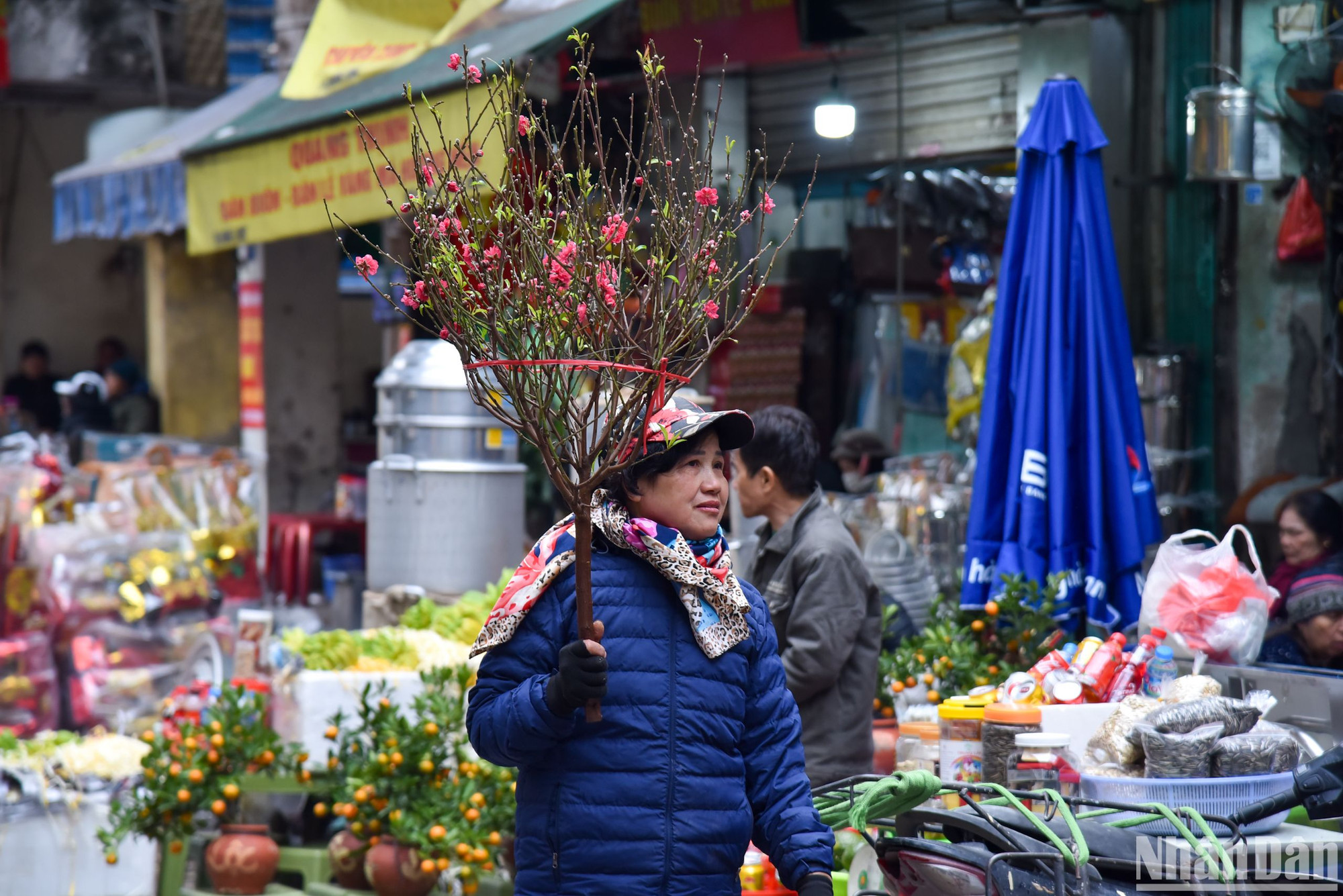 Những cành đào nhỏ được nhiều người chọn mua để về cúng ông Táo (23 tháng Chạp) hoặc để trưng bày chơi trước Tết.