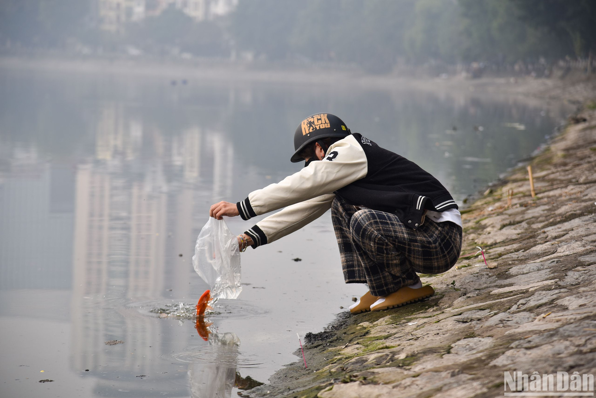 Hình ảnh người dân phóng sinh cá trong ngày Tết ông Công ông Táo.
