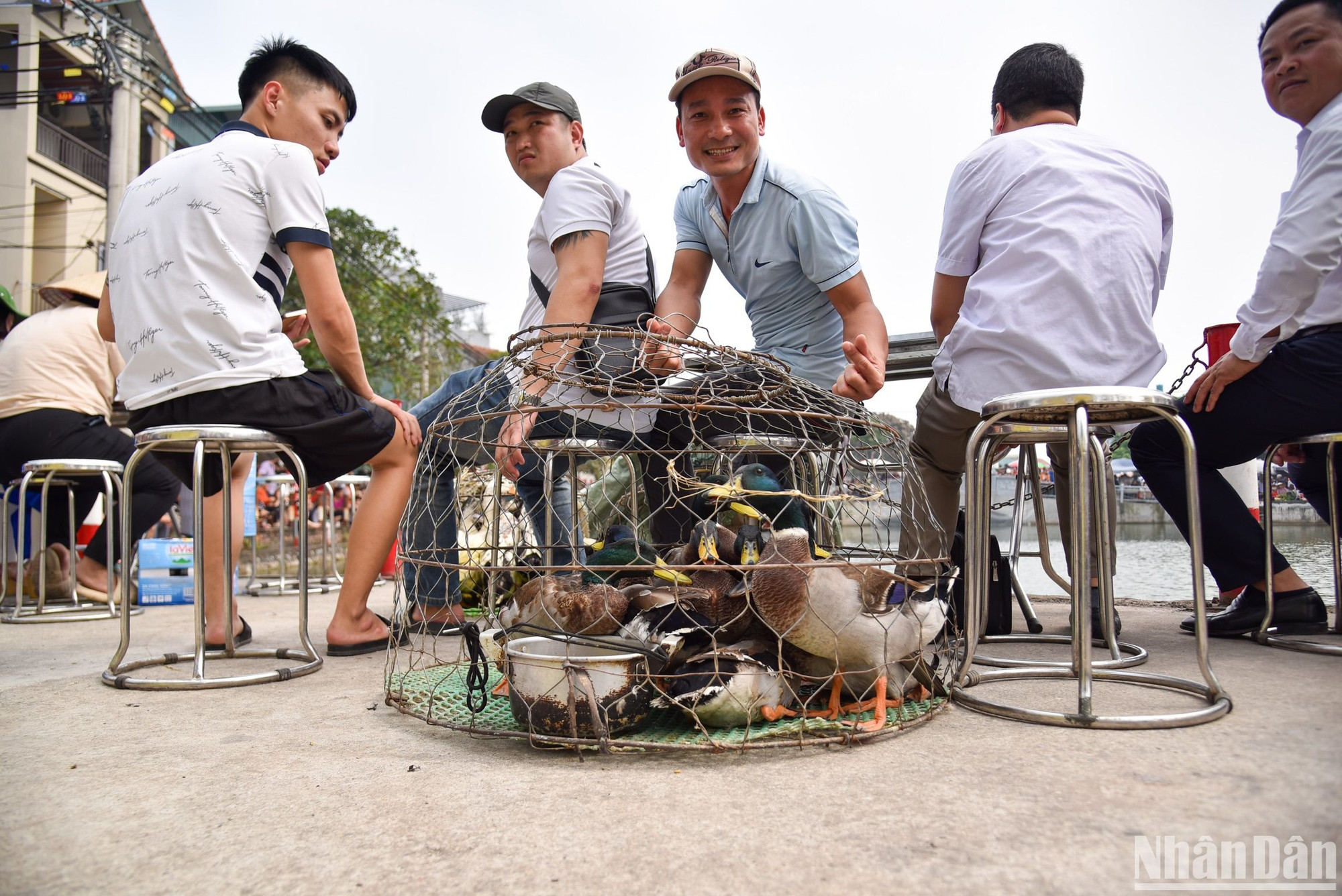 Cuộc thi bắt vịt được diễn ra vào lúc 2 giờ chiều. Những con vịt tham gia cuộc thi được dân làng tự nguyện đóng góp cho ban tổ chức, do đó số lượng mỗi năm có phần khác nhau.