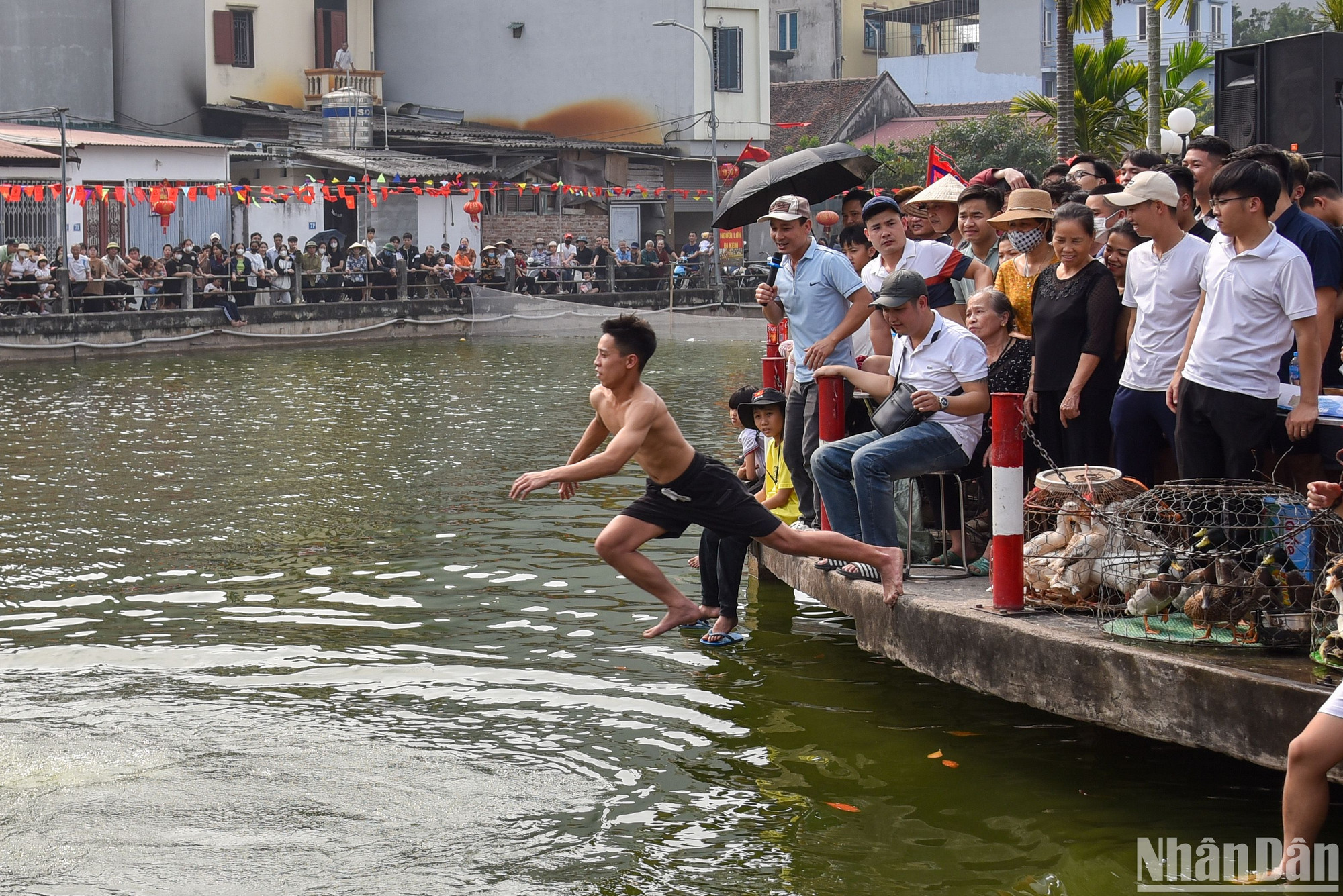 Sau hiệu lệnh của người điều khiển cuộc thi, các thanh niên bắt đầu nhảy xuống ao để lùa và bắt vịt. Mỗi đội sẽ có 3 người tham gia cùng một lúc và 10 phút để bắt vịt lên bờ.