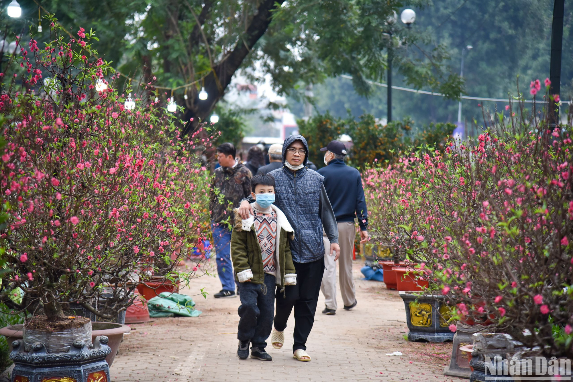 Ngoài chợ hoa Hàng Lược, những chợ hoa lớn nhỏ khác cũng có mặt trên khắp Thủ đô, tạo nên hình ảnh một thành phố đầy màu sắc và vui tươi khi cận kề ngày Tết cổ truyền của dân tộc.