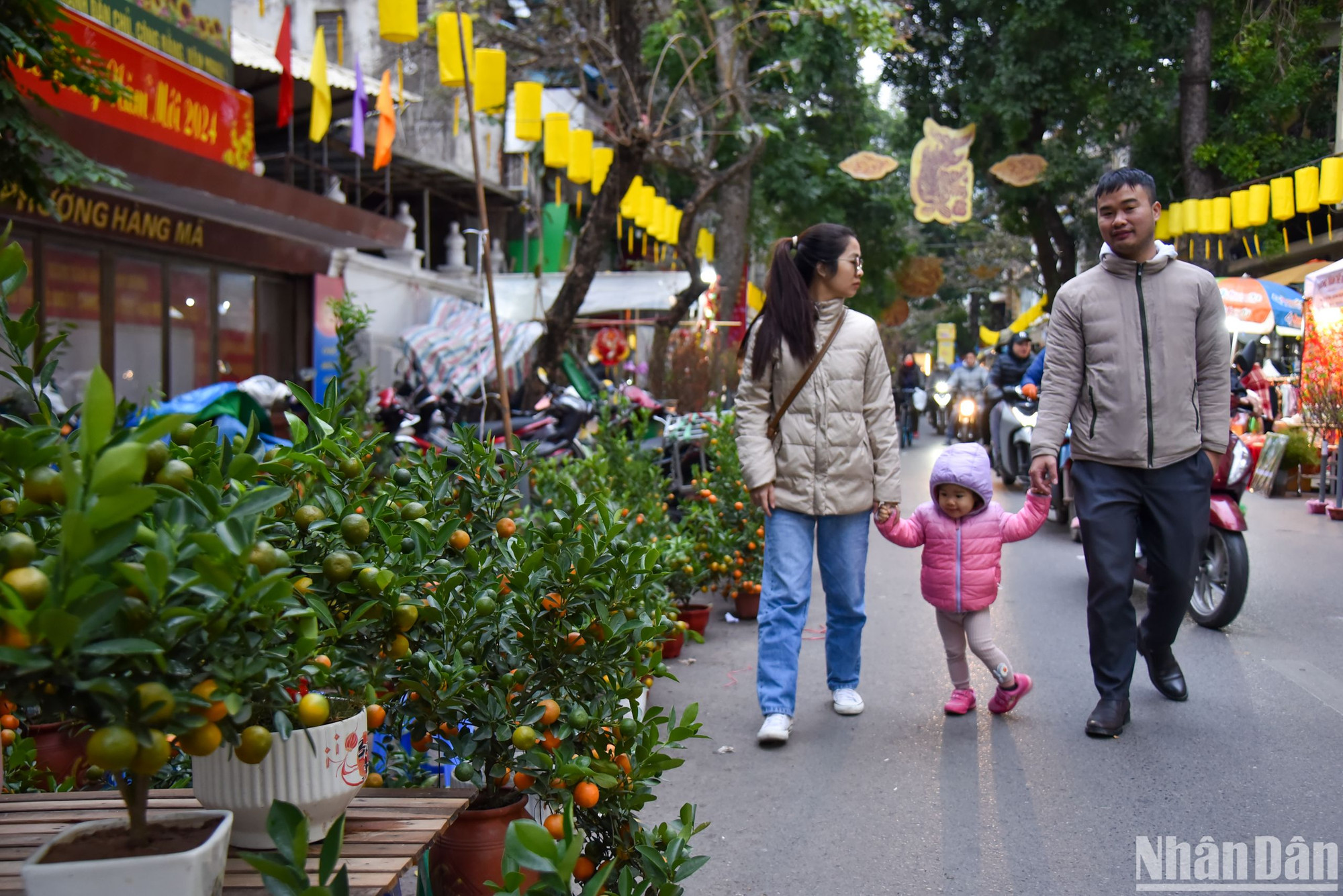 Chợ hoa Hàng Lược được coi là một trong những khu chợ thể hiện đậm nét văn hóa đẹp đẽ của Hà Nội, đi sâu vào tiềm thức của người dân Thủ đô về một chợ hoa cổ truyền - nơi để mọi người du xuân và tận hưởng bầu không khí Tết Nguyên đán đang đến rất gần.