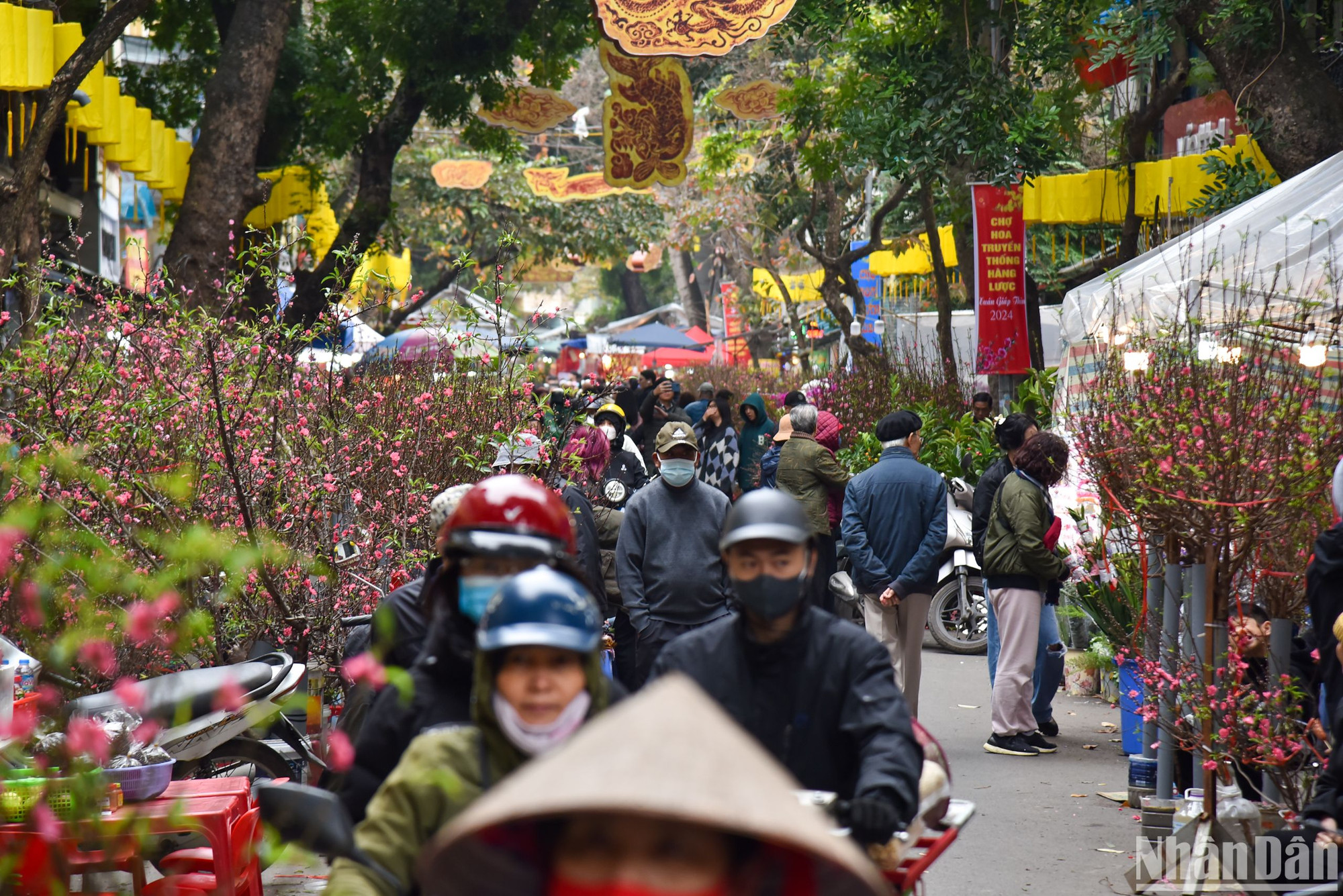 Địa điểm người dân ghé thăm nhiều nhất có lẽ là những chợ hoa ngày Tết, điển hình là chợ hoa Hàng Lược nằm ngay tại trung tâm thành phố. Theo ghi nhận, chợ hoa đã đón rất nhiều lượt du khách ghé thăm những ngày gần đây.