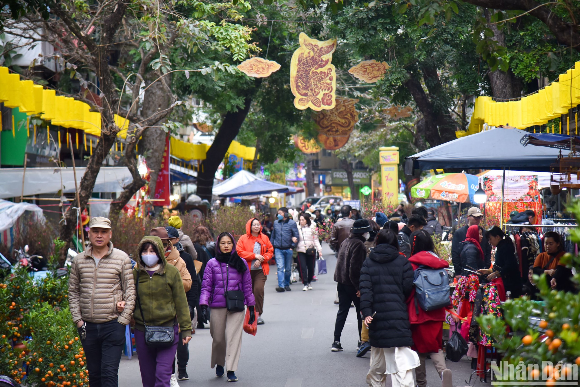 Chợ hoa Hàng Lược năm nay được bắt đầu từ ngày 26/1, chợ chỉ họp duy nhất một lần trong năm bắt đầu từ ngày 15 đến 30 tháng Chạp.