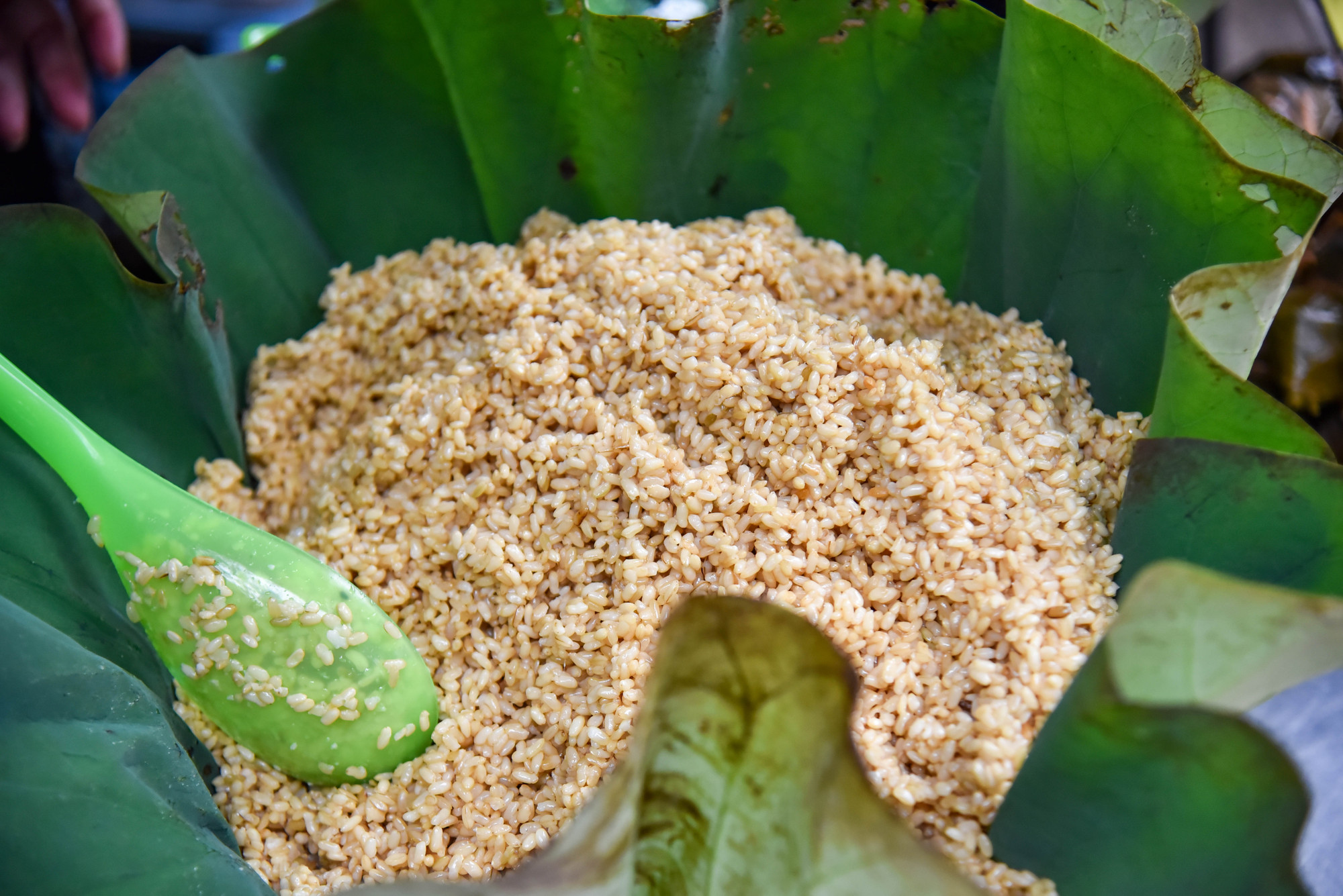 Rượu nếp - một món ăn không thể thiếu của người dân Hà Nội trong ngày Tết "diệt sâu bọ". Rượu nếp - một món ăn không thể thiếu của người dân Hà Nội trong ngày Tết "diệt sâu bọ".